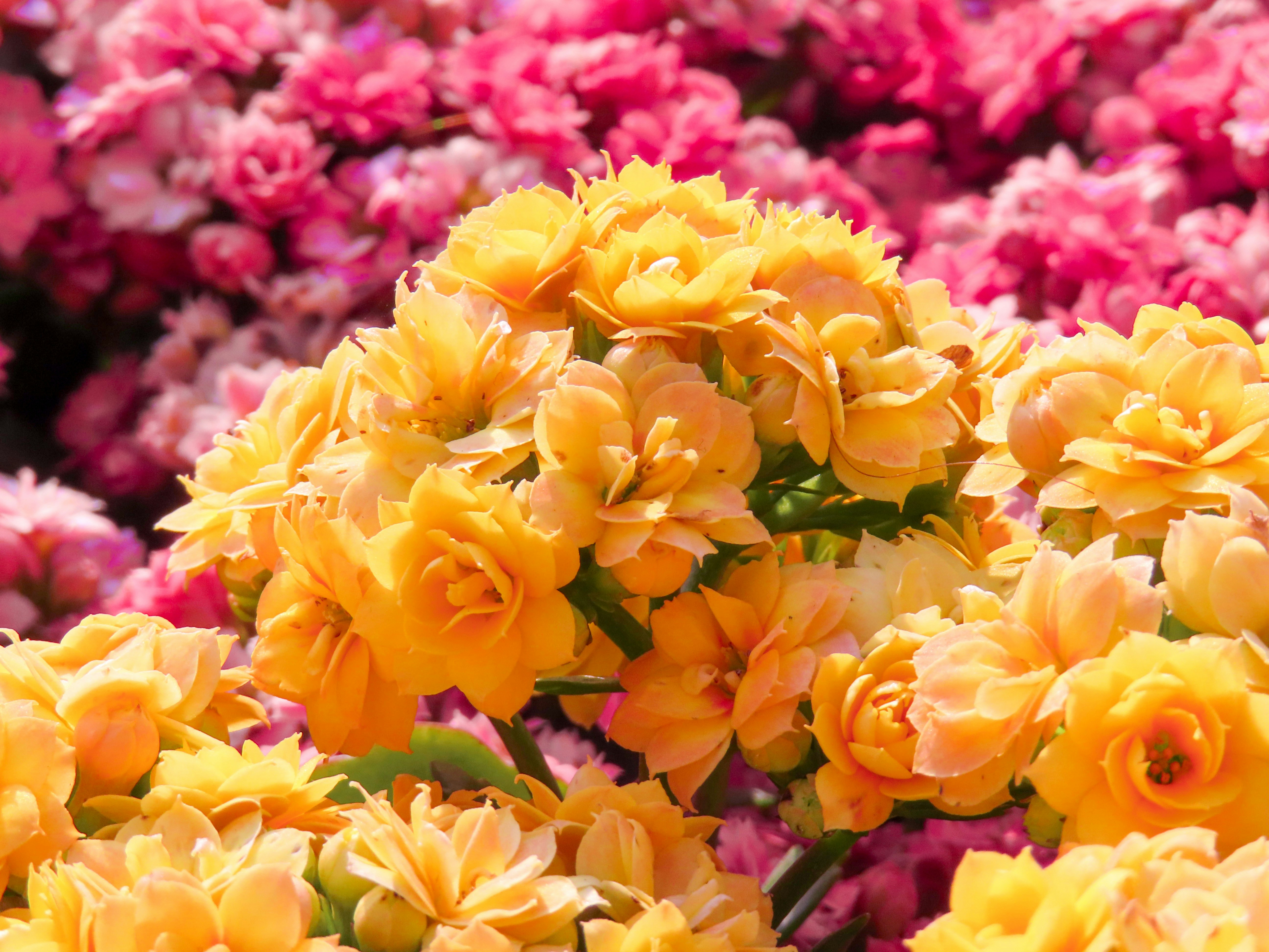 Photo by todayzcapture