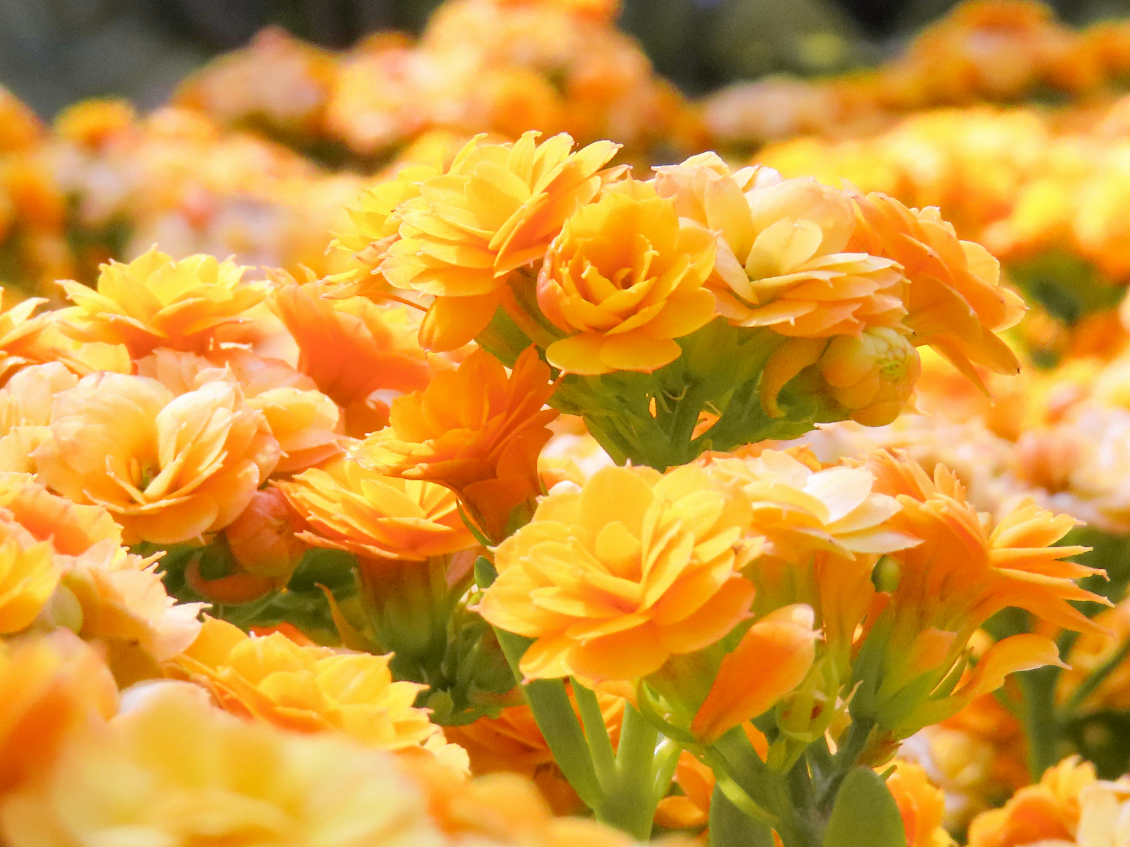 Photo by todayzcapture