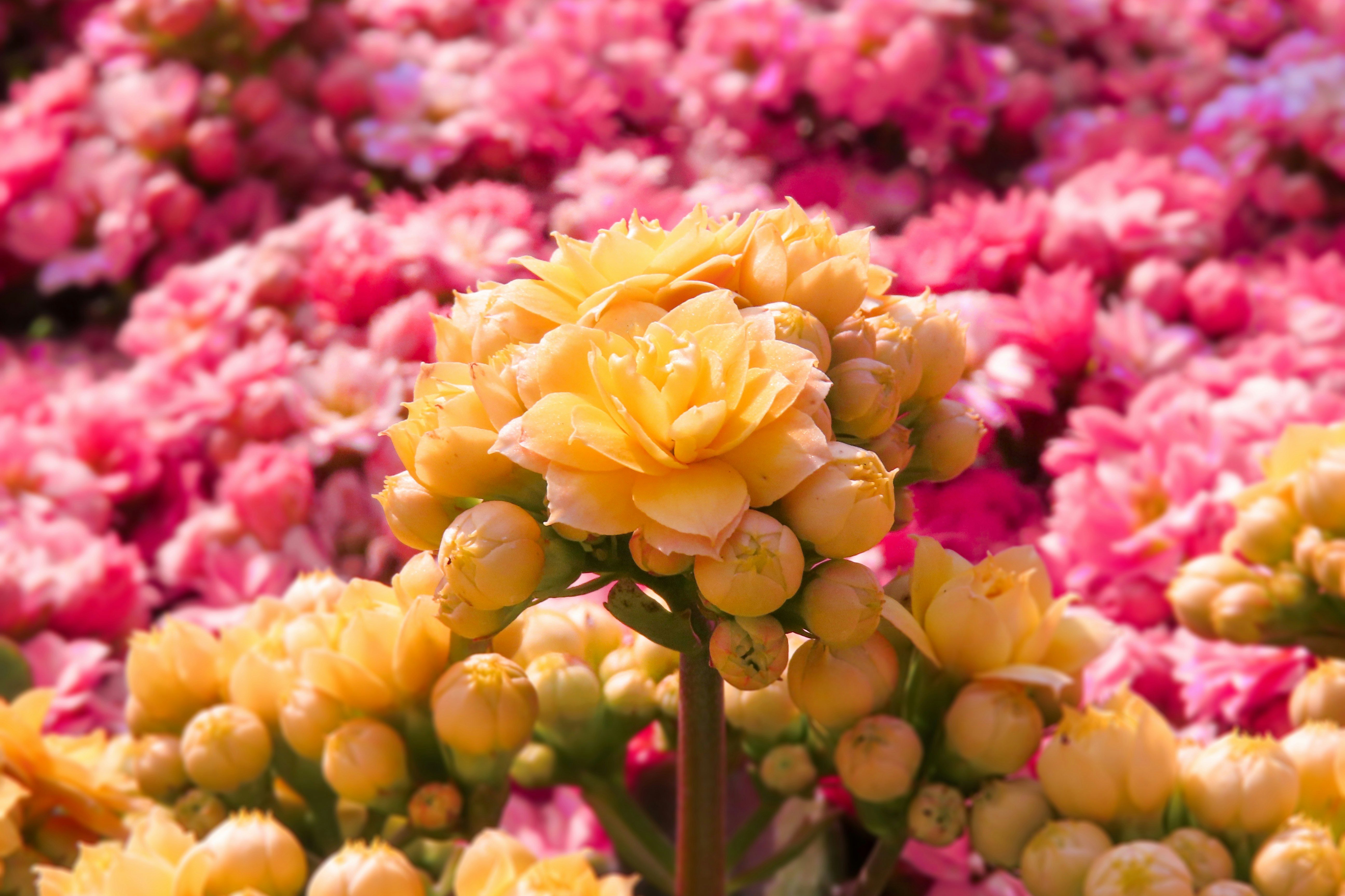 Photo by todayzcapture