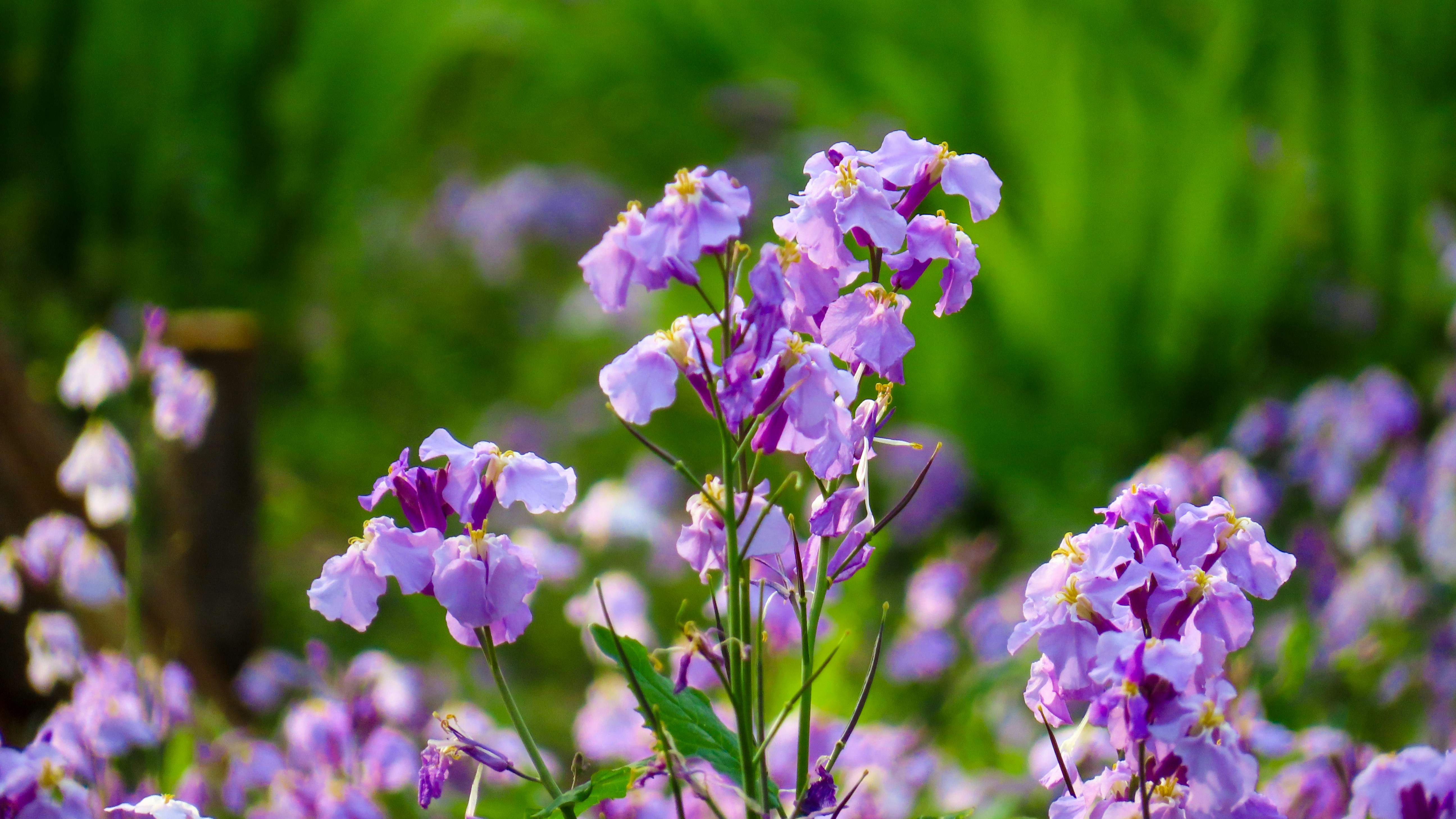 Photo by todayzcapture