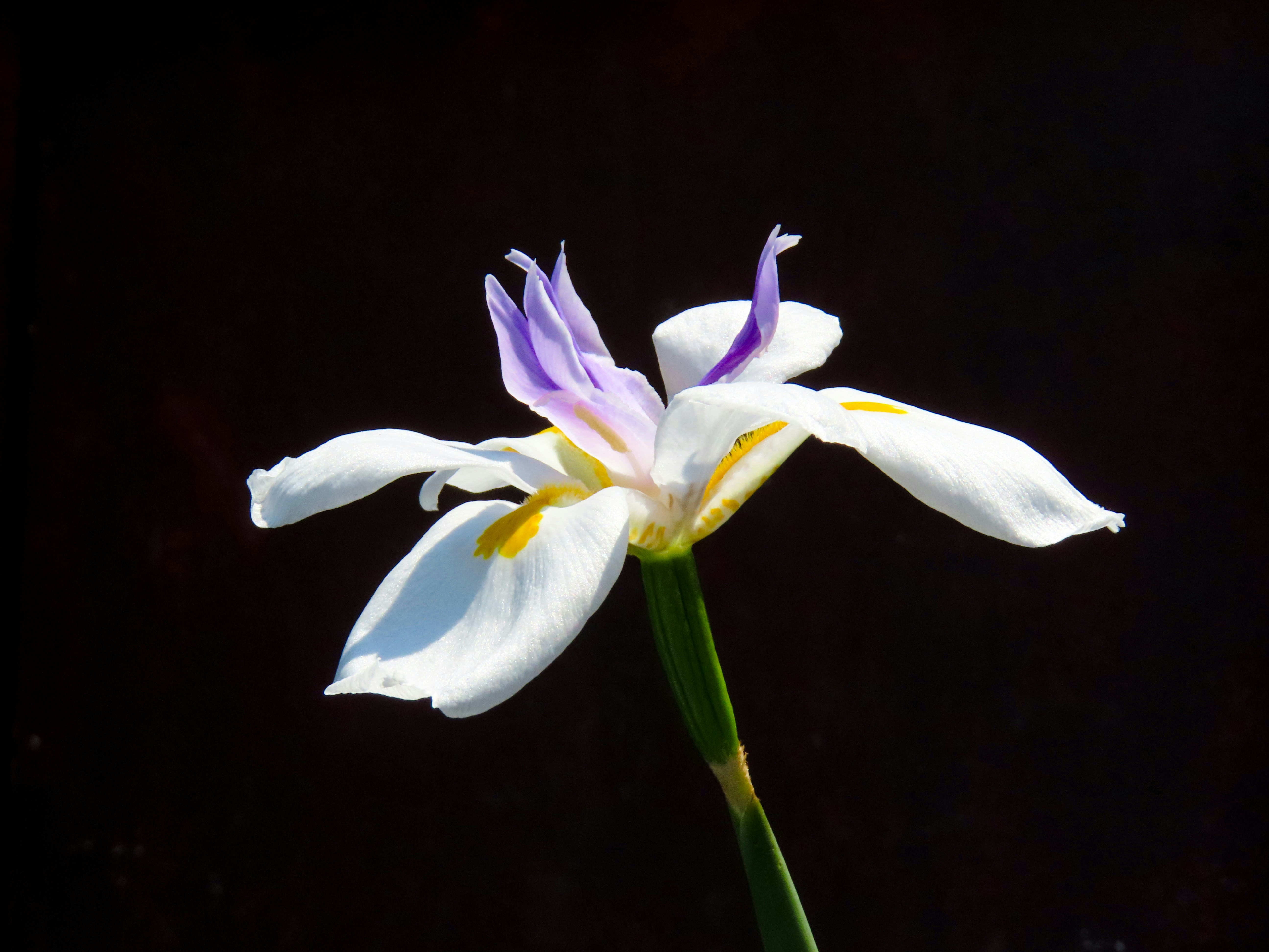 Photo by todayzcapture