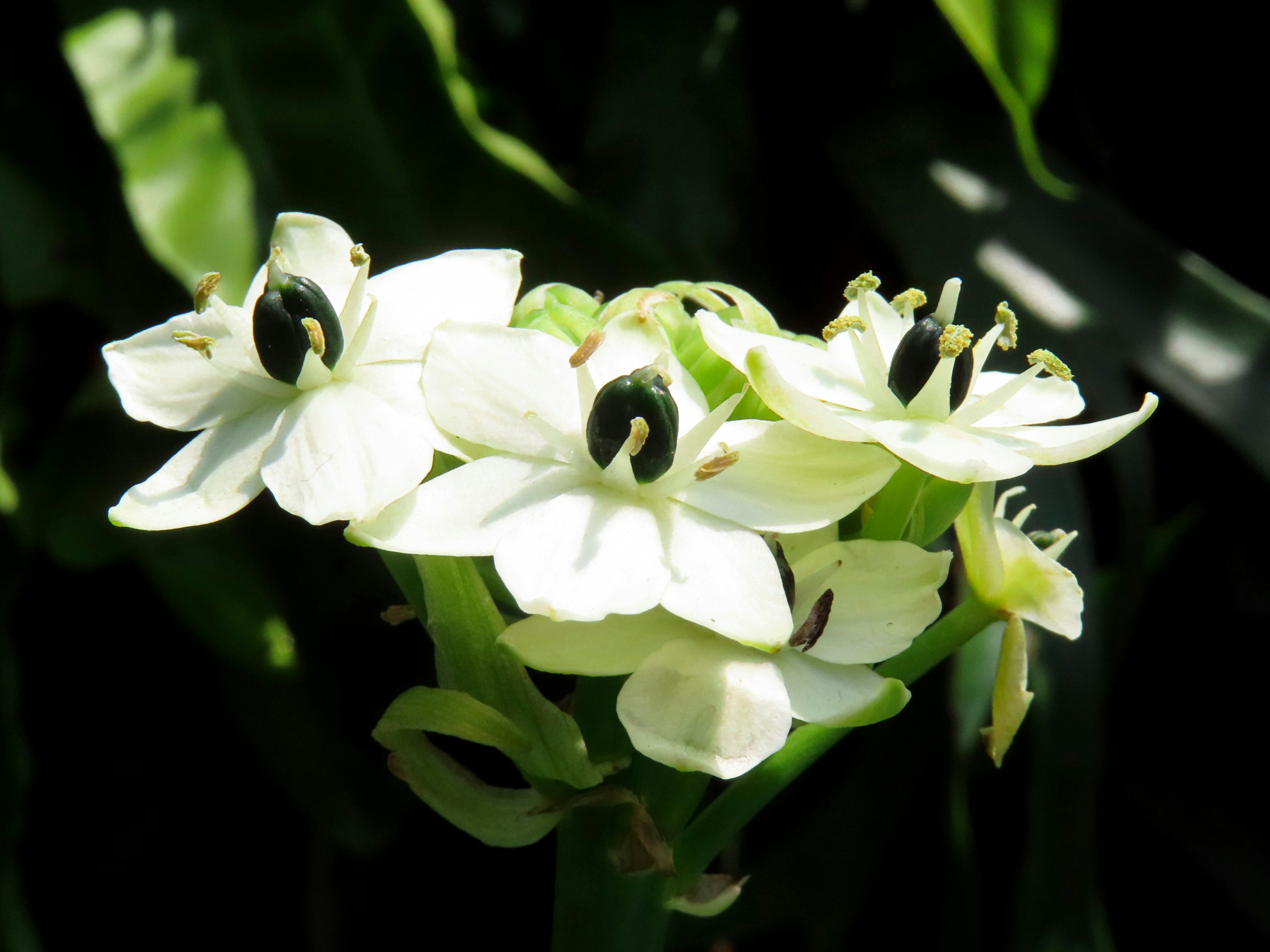 Photo by todayzcapture