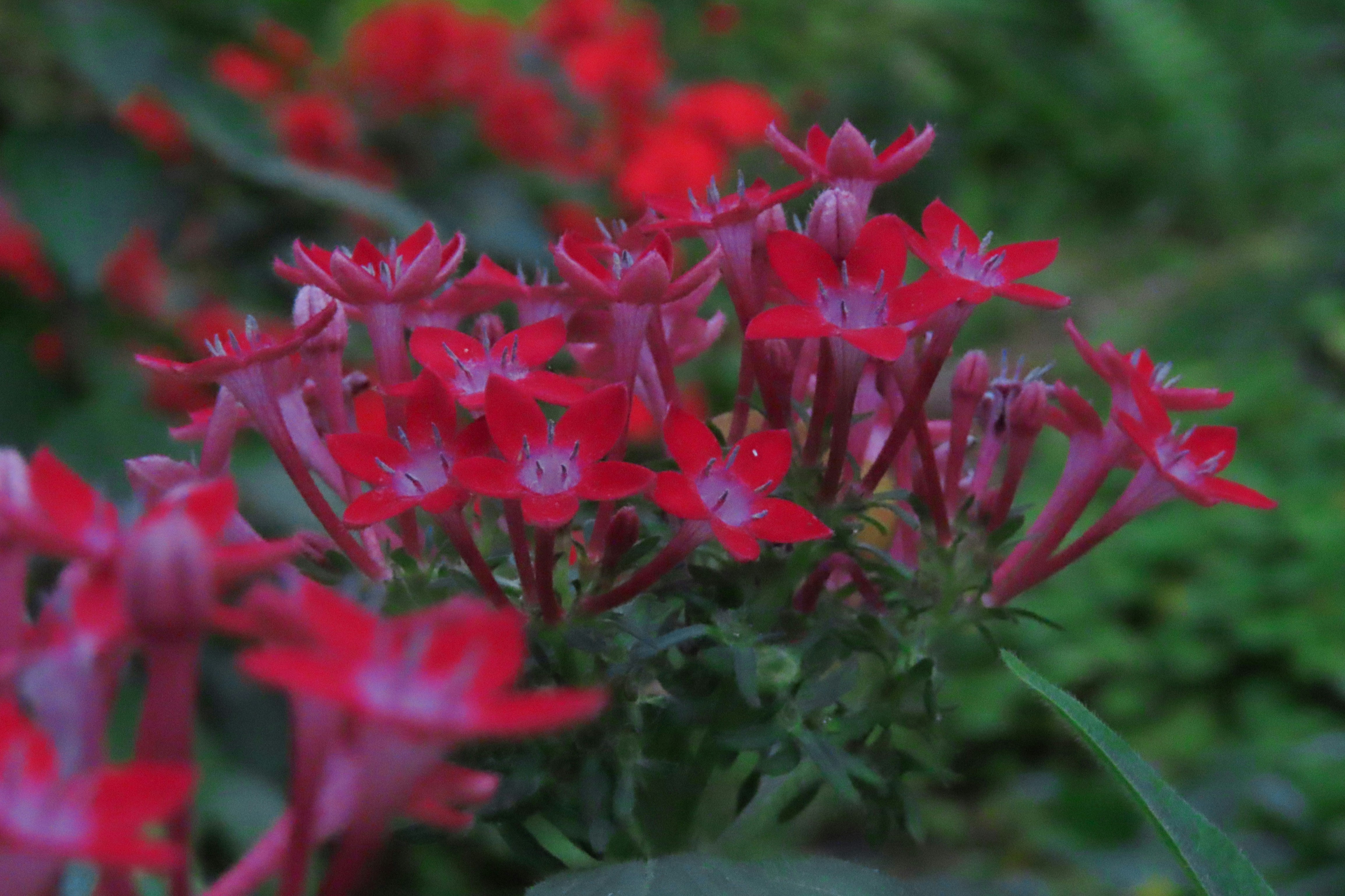 Photo by todayzcapture