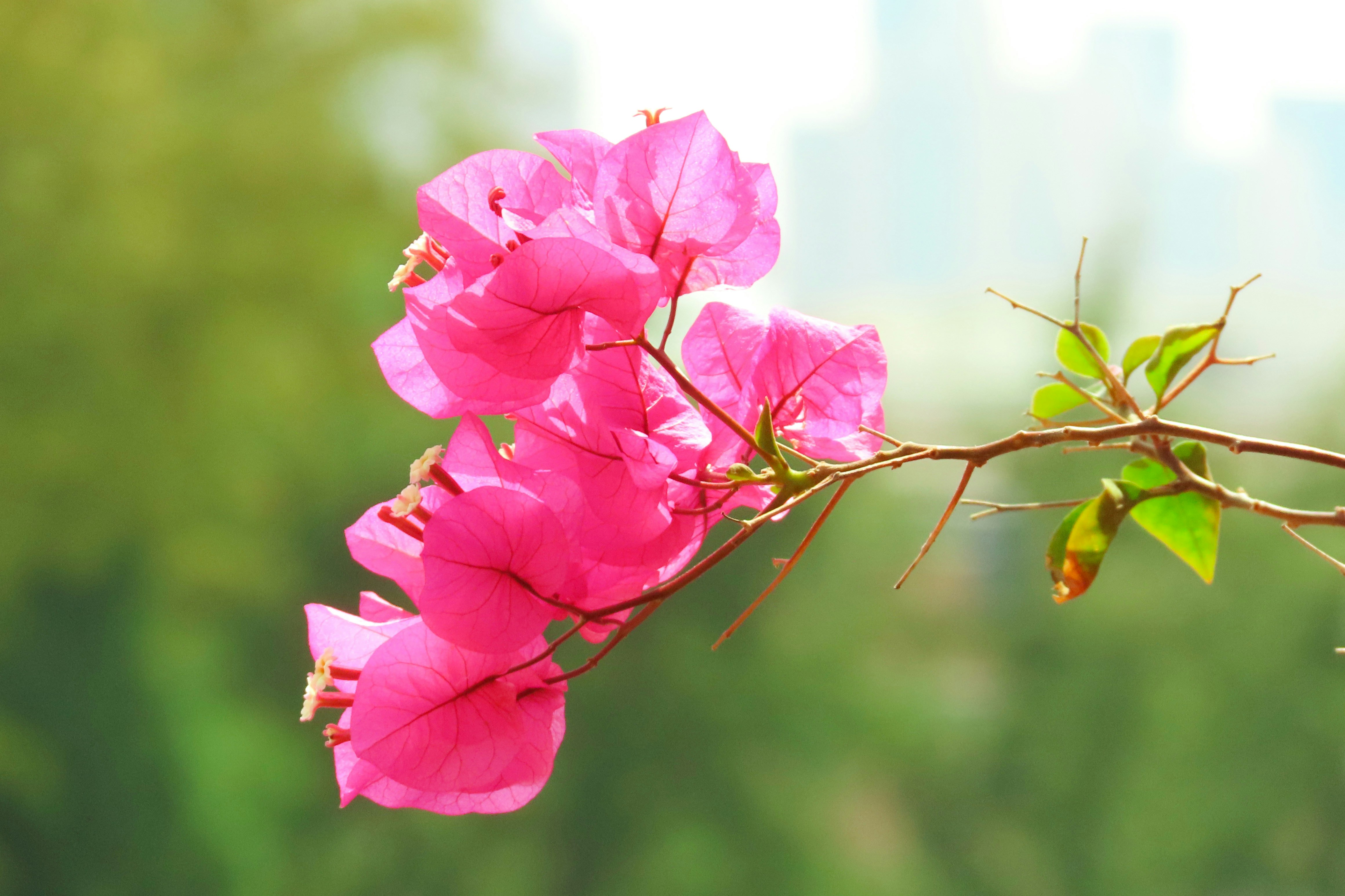 Photo by todayzcapture