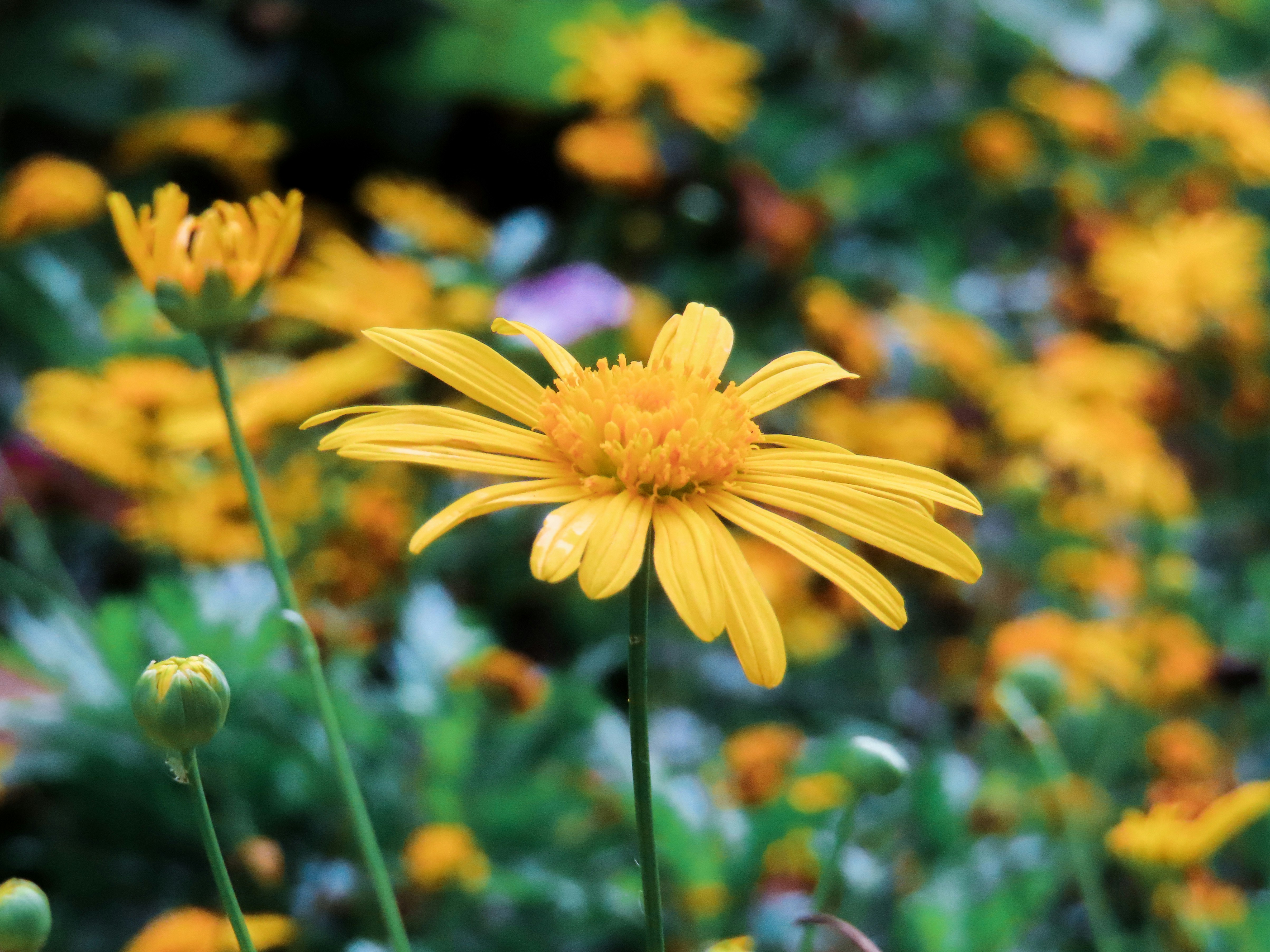 Photo by todayzcapture