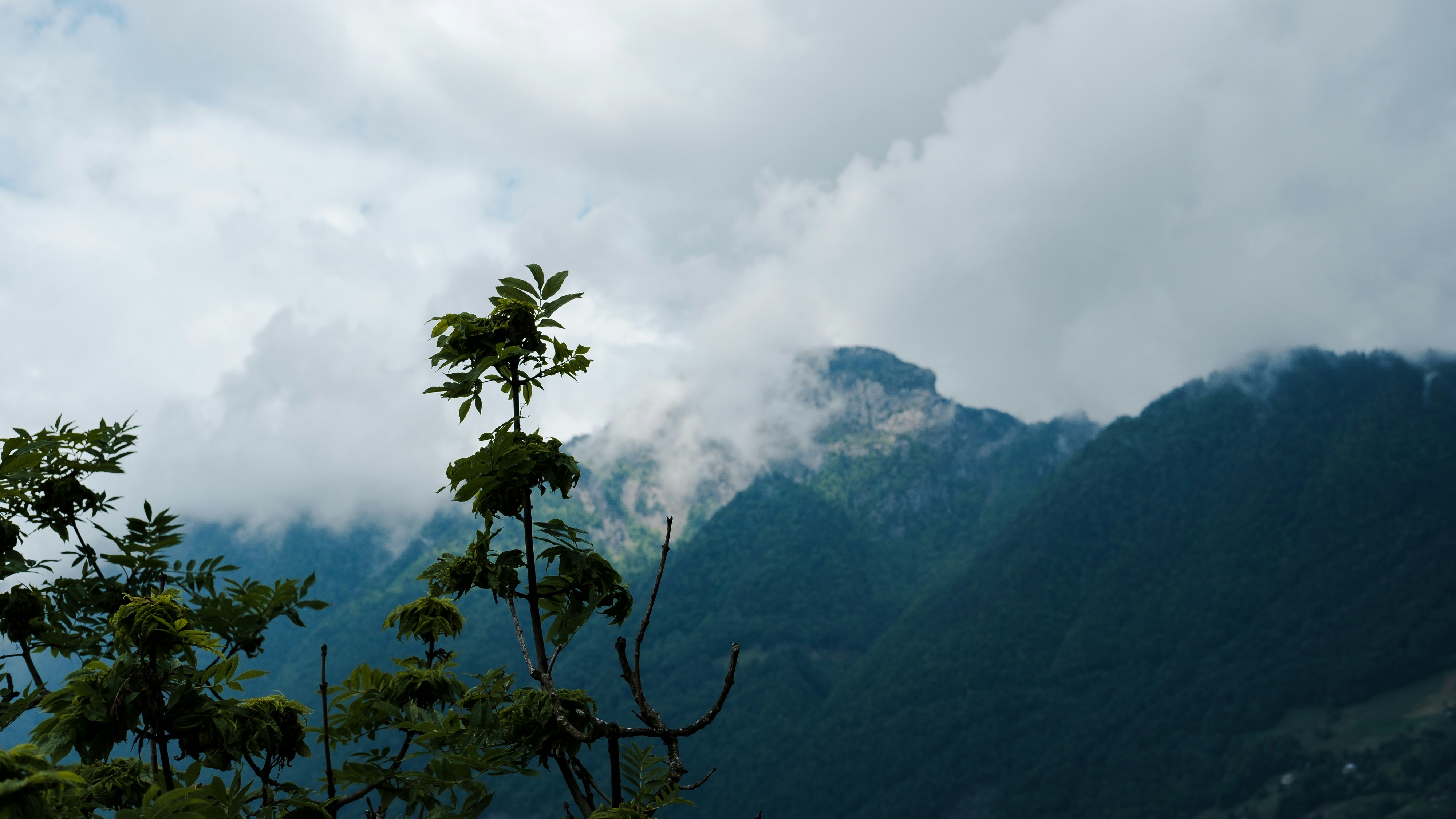 Mountains shrouded in clouds appear in the distance.