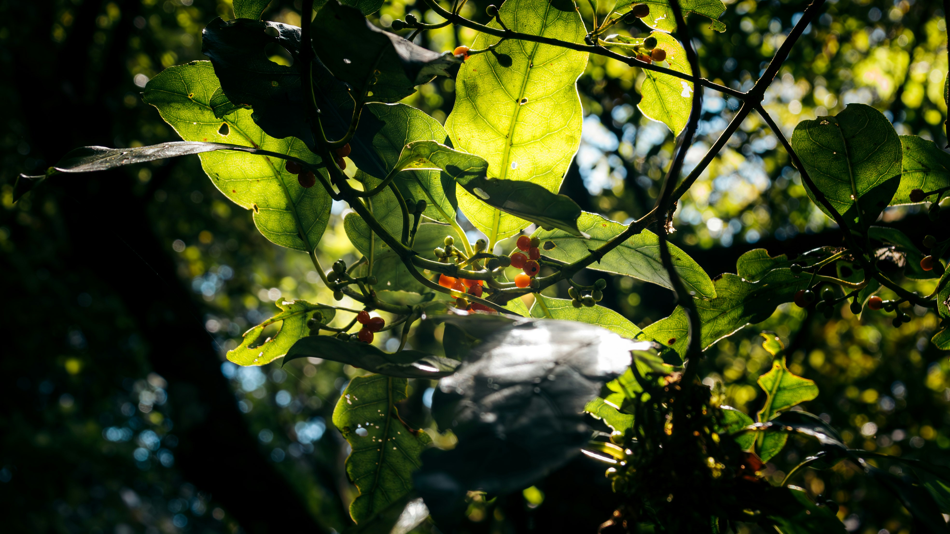 Photo by niktravelstheworld