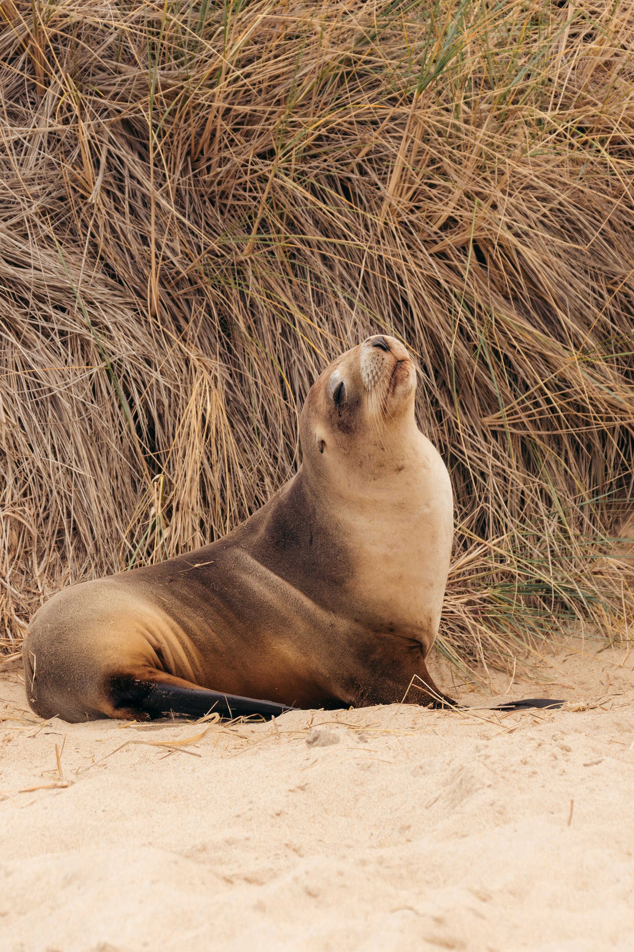 Photo by niktravelstheworld