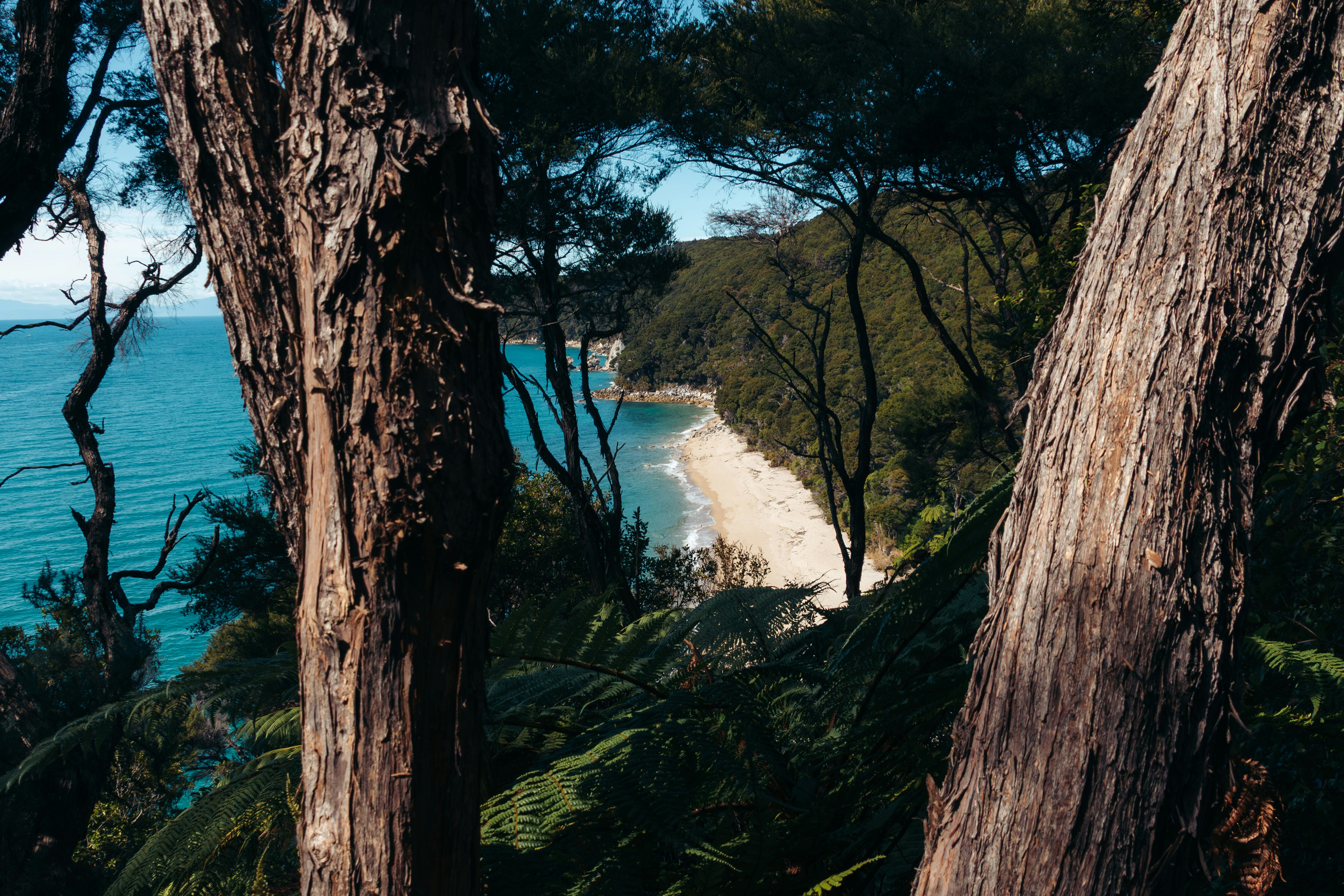 Photo by niktravelstheworld