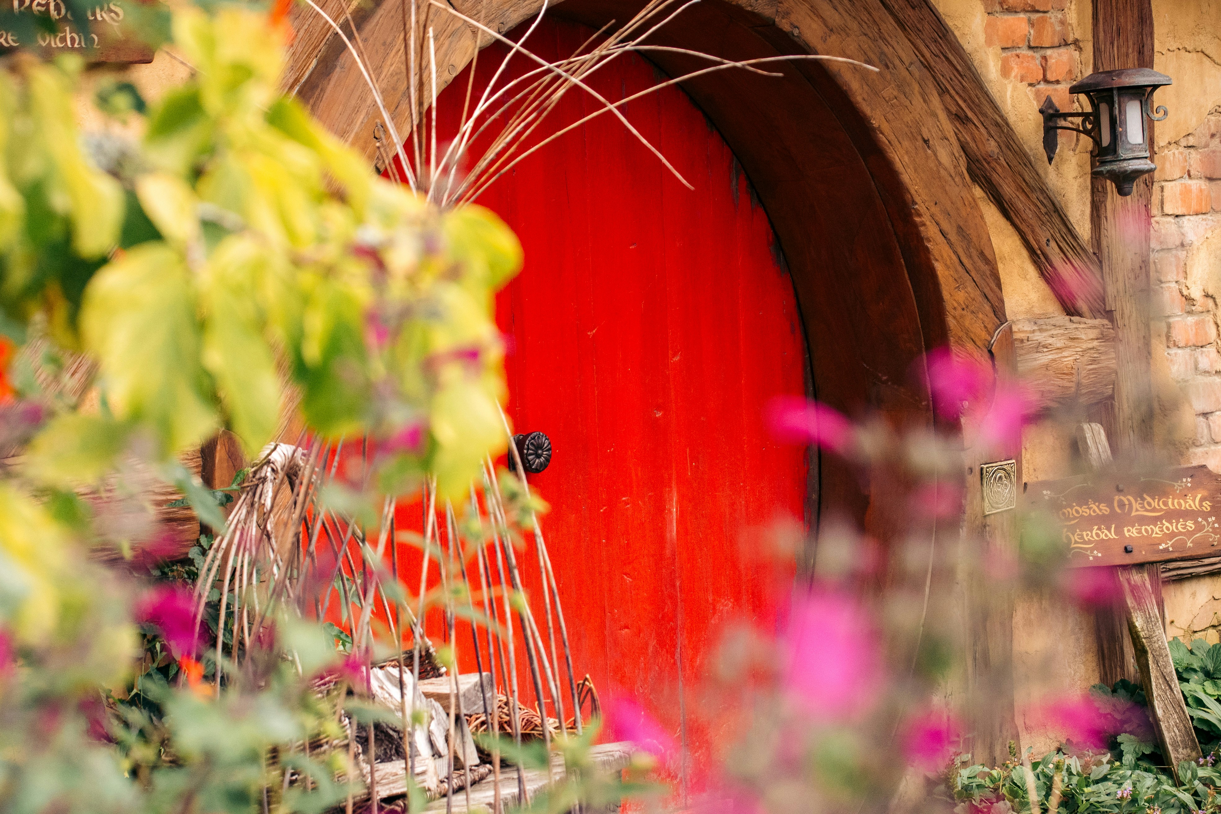 Photo by niktravelstheworld