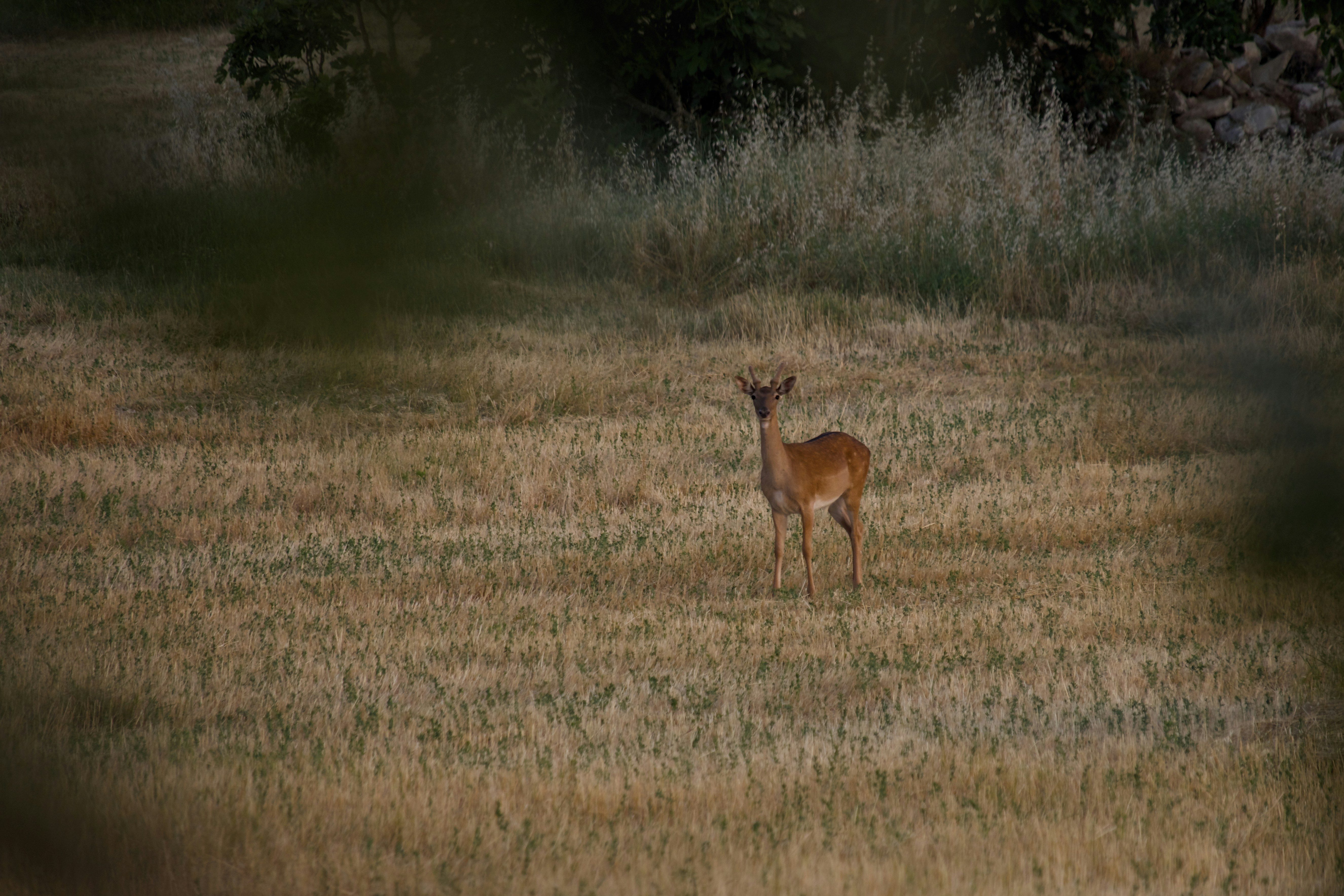 Photo by mariobeducci