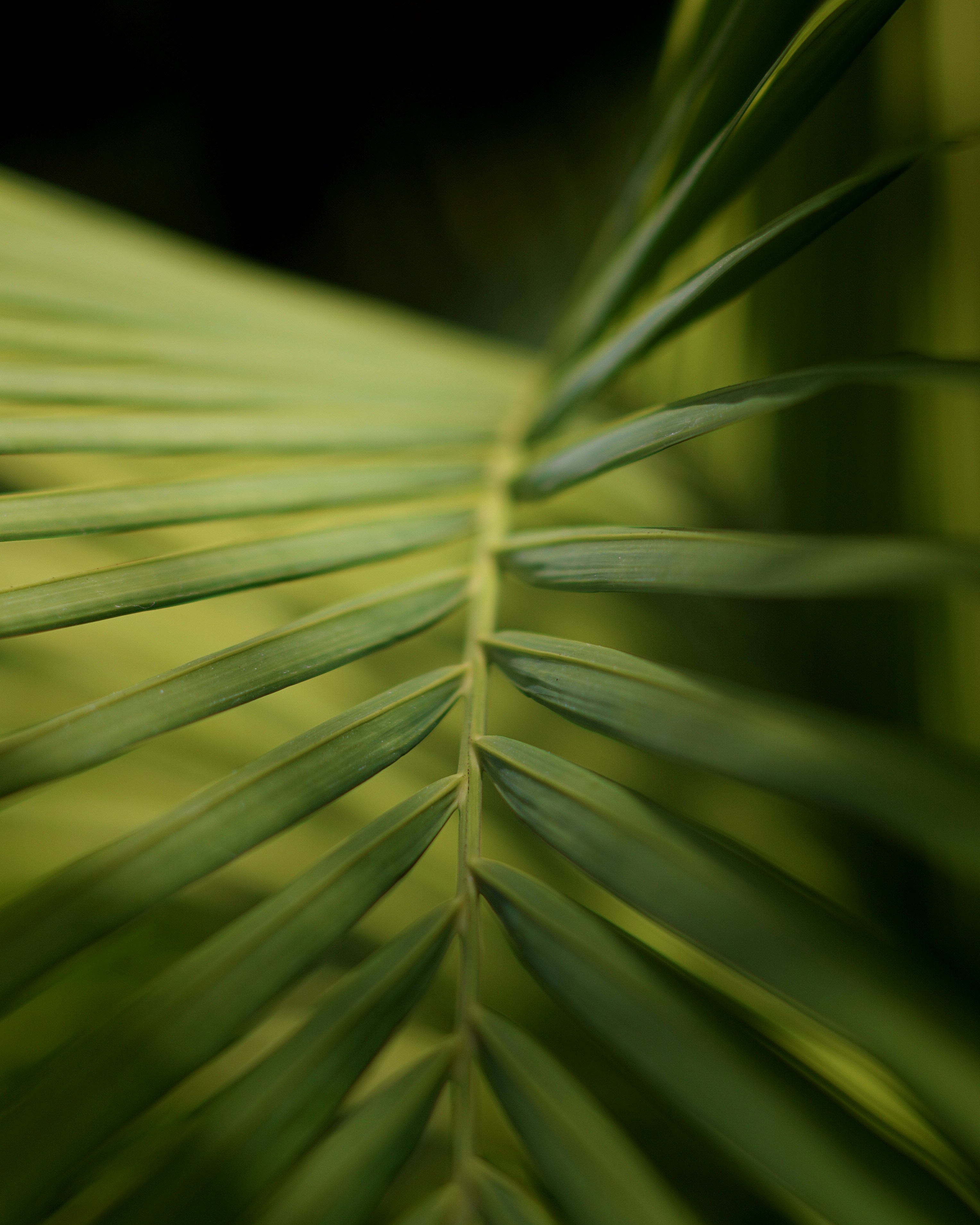 Photo by aerialshooter