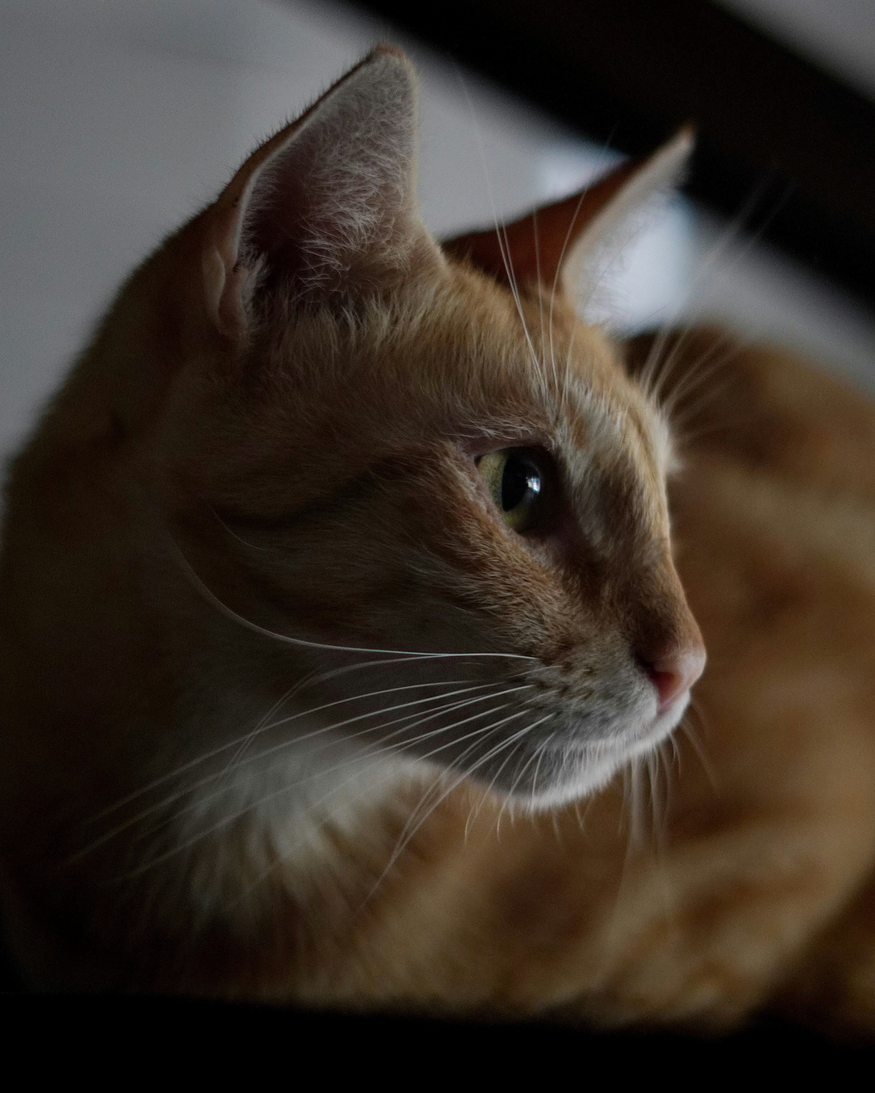 Photo by aerialshooter