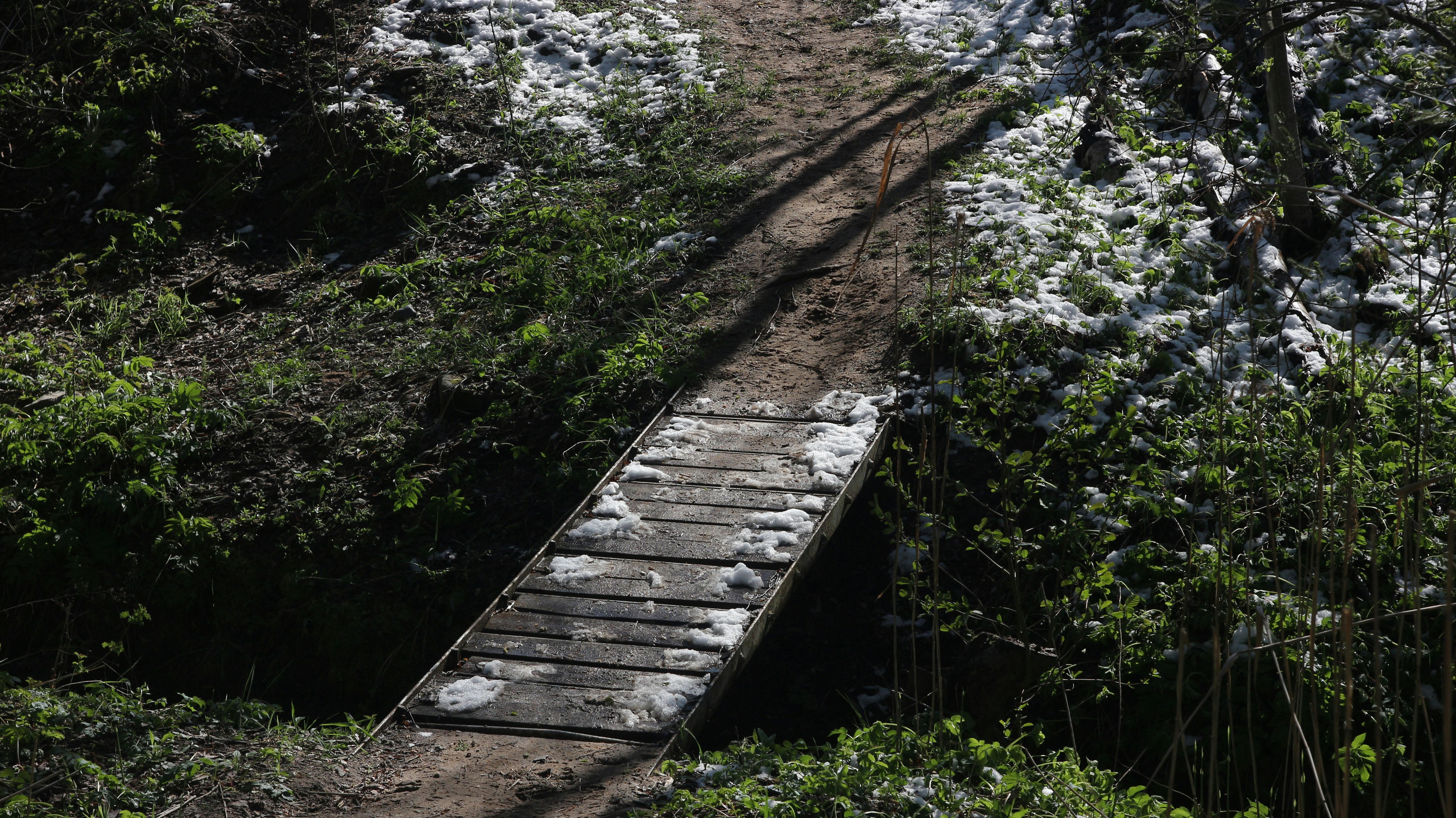 A wooden bridge leads through a wooded area.