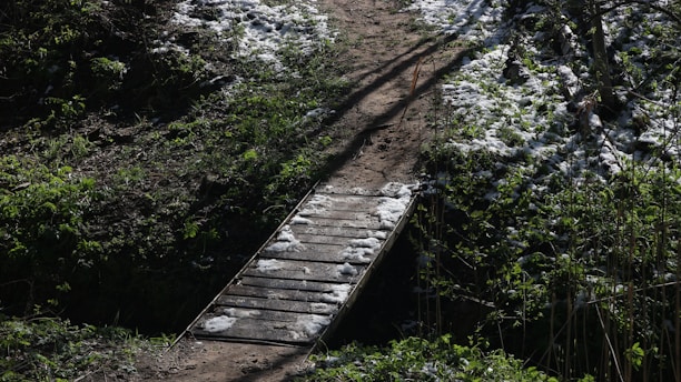 A wooden bridge leads through a wooded area.