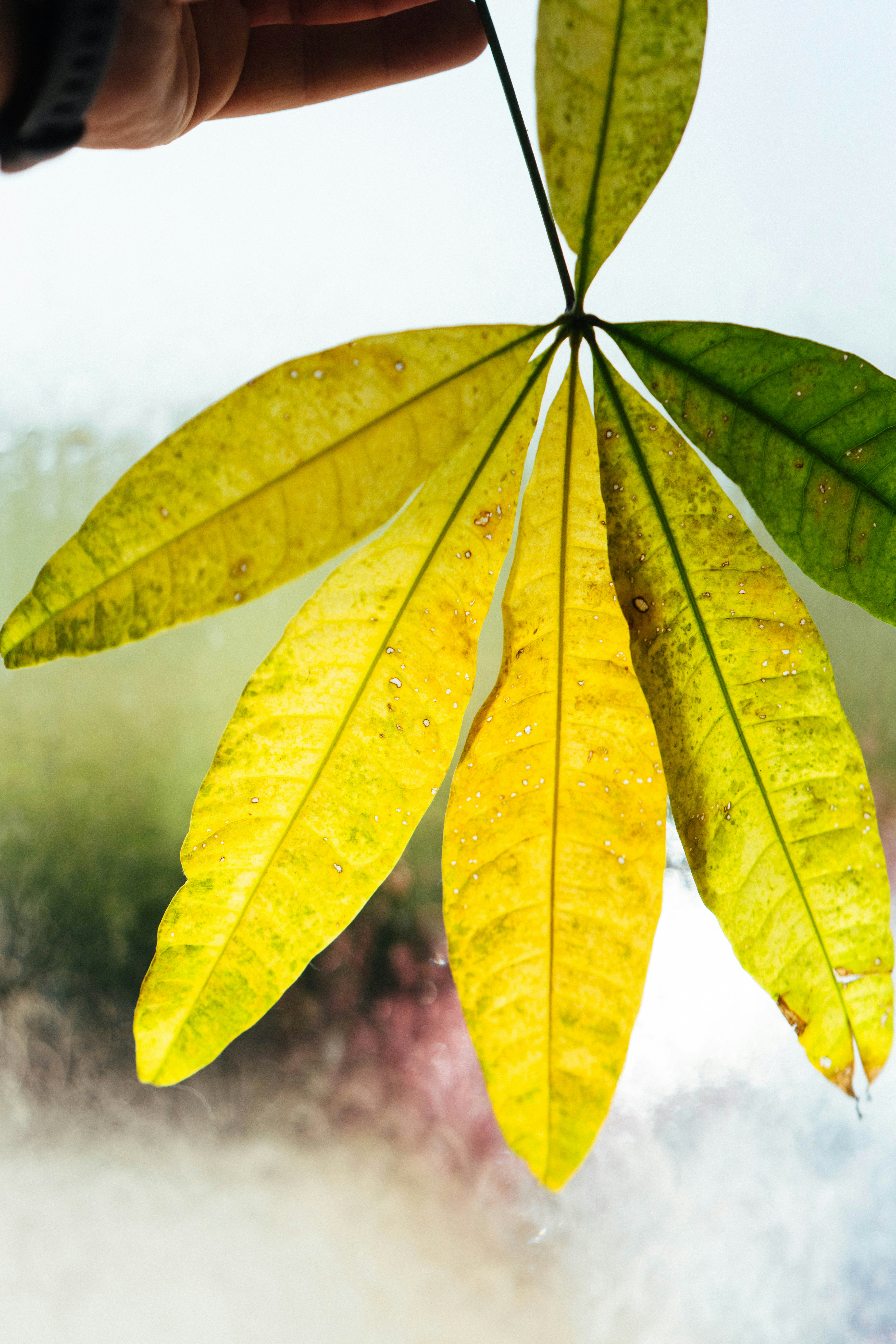 Photo by philhearing