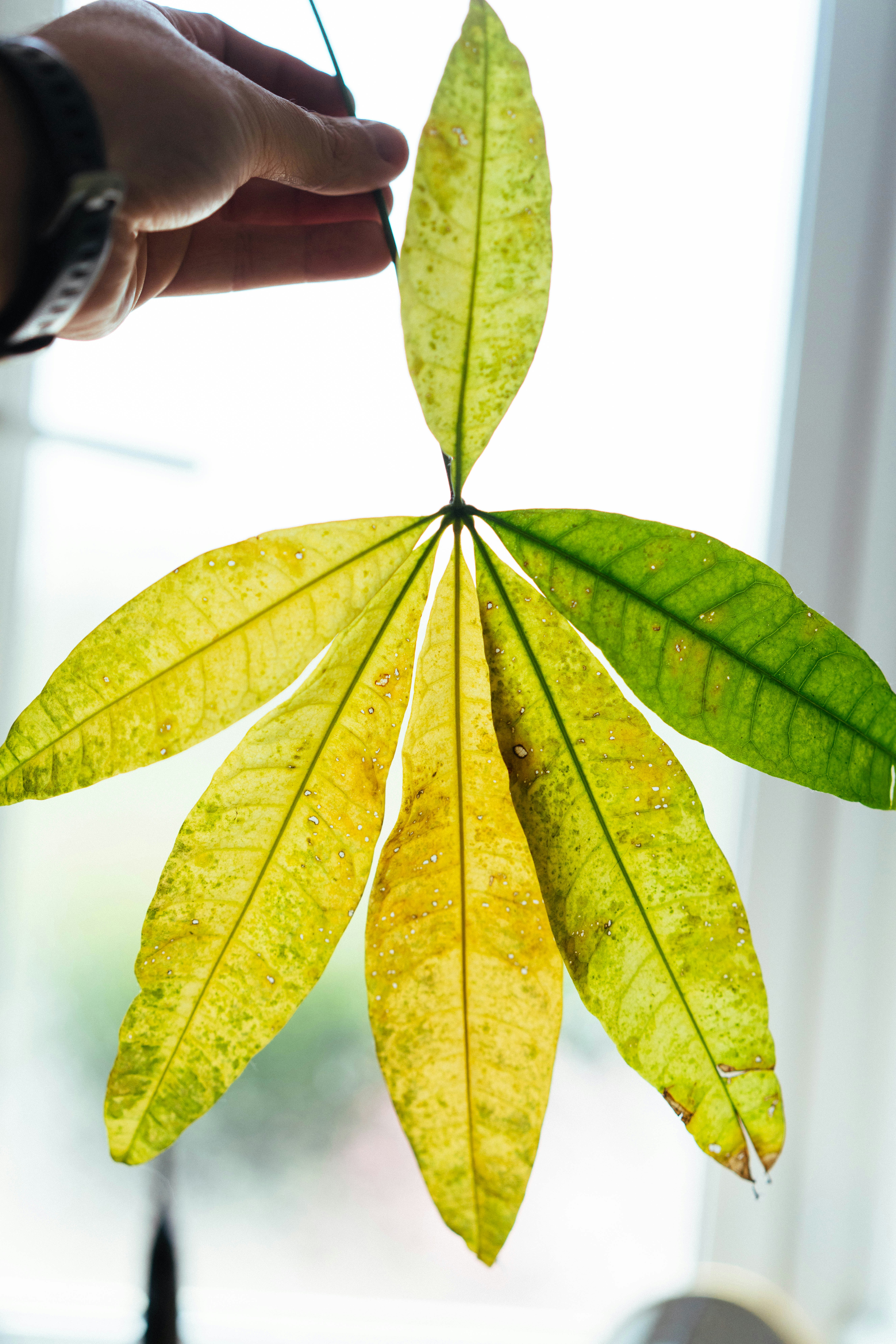 Photo by philhearing