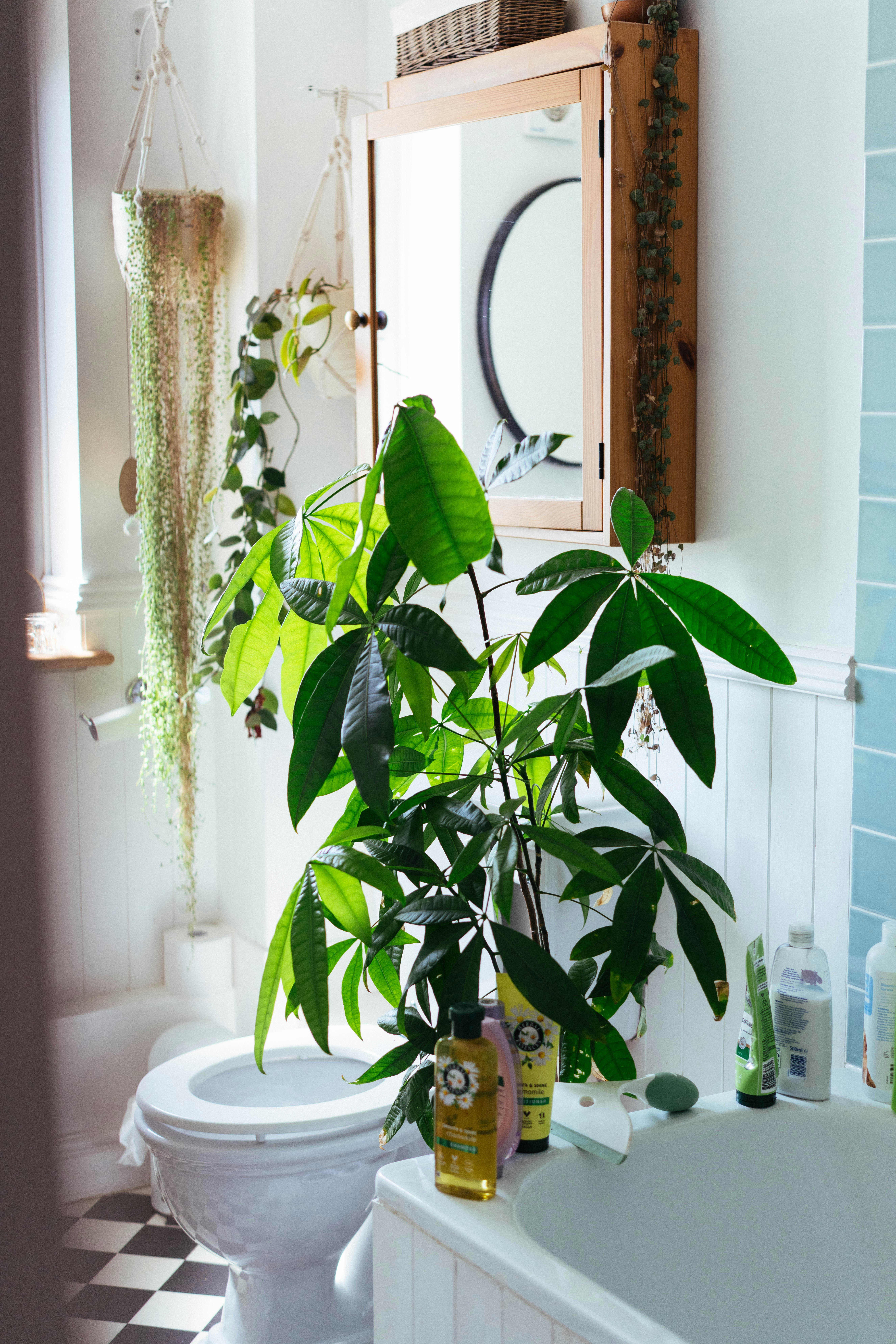 Photo by philhearing