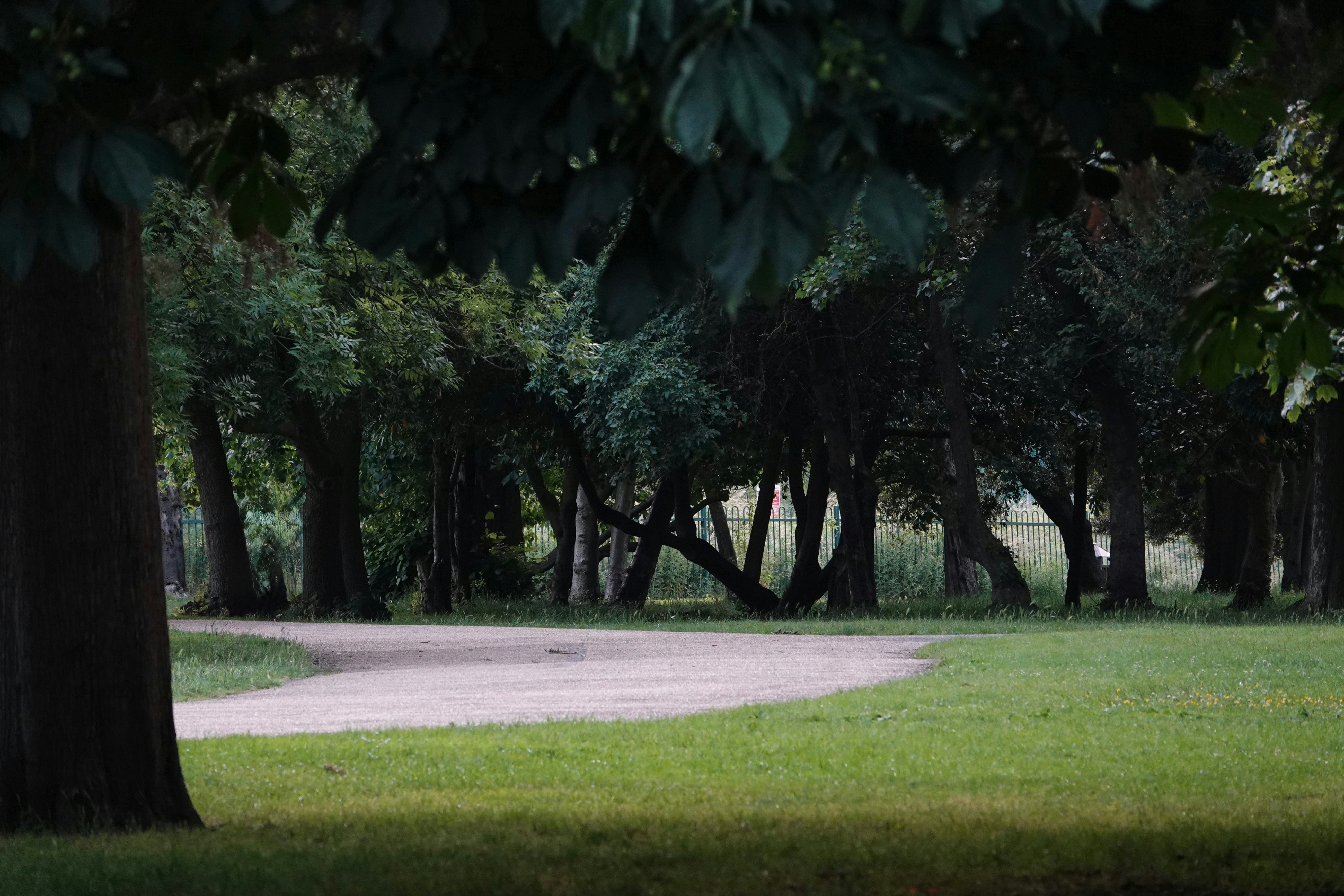 Photo by priyankachechi29