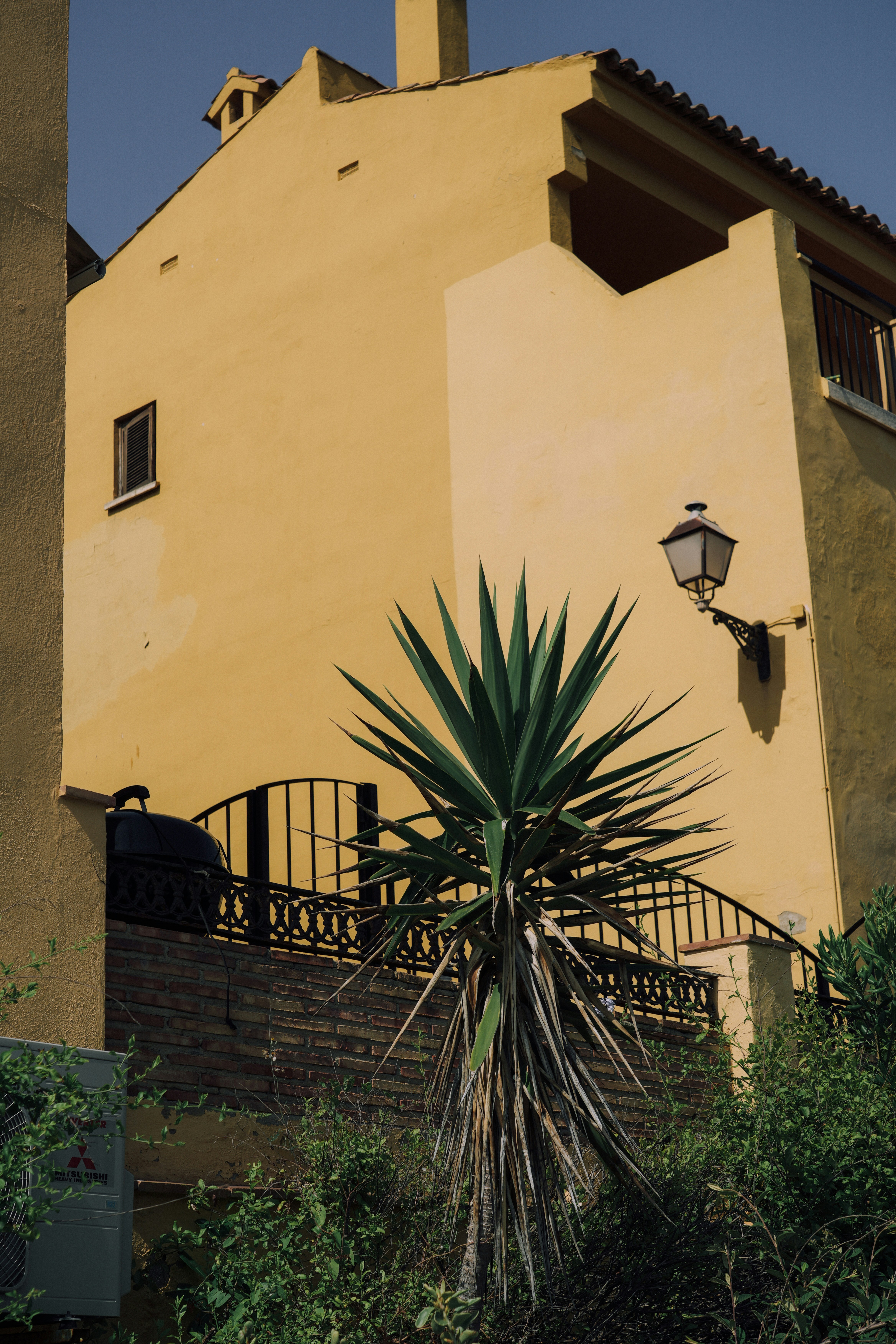 Yellow building and green plant under a blue sky.
