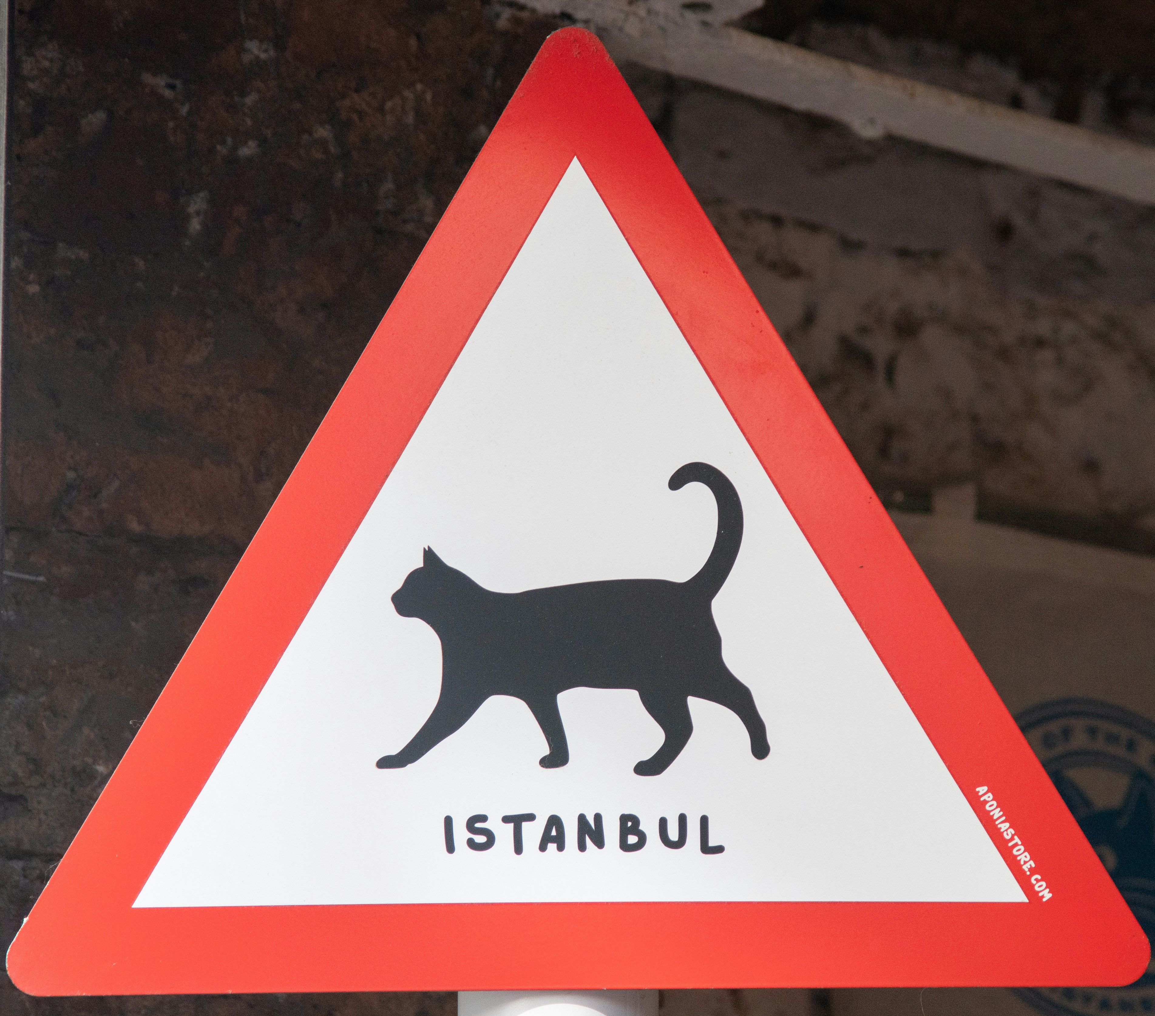 고양이 행동 분석