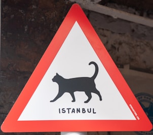 Watch out for cats in istanbul!