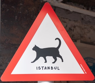 Watch out for cats in istanbul!