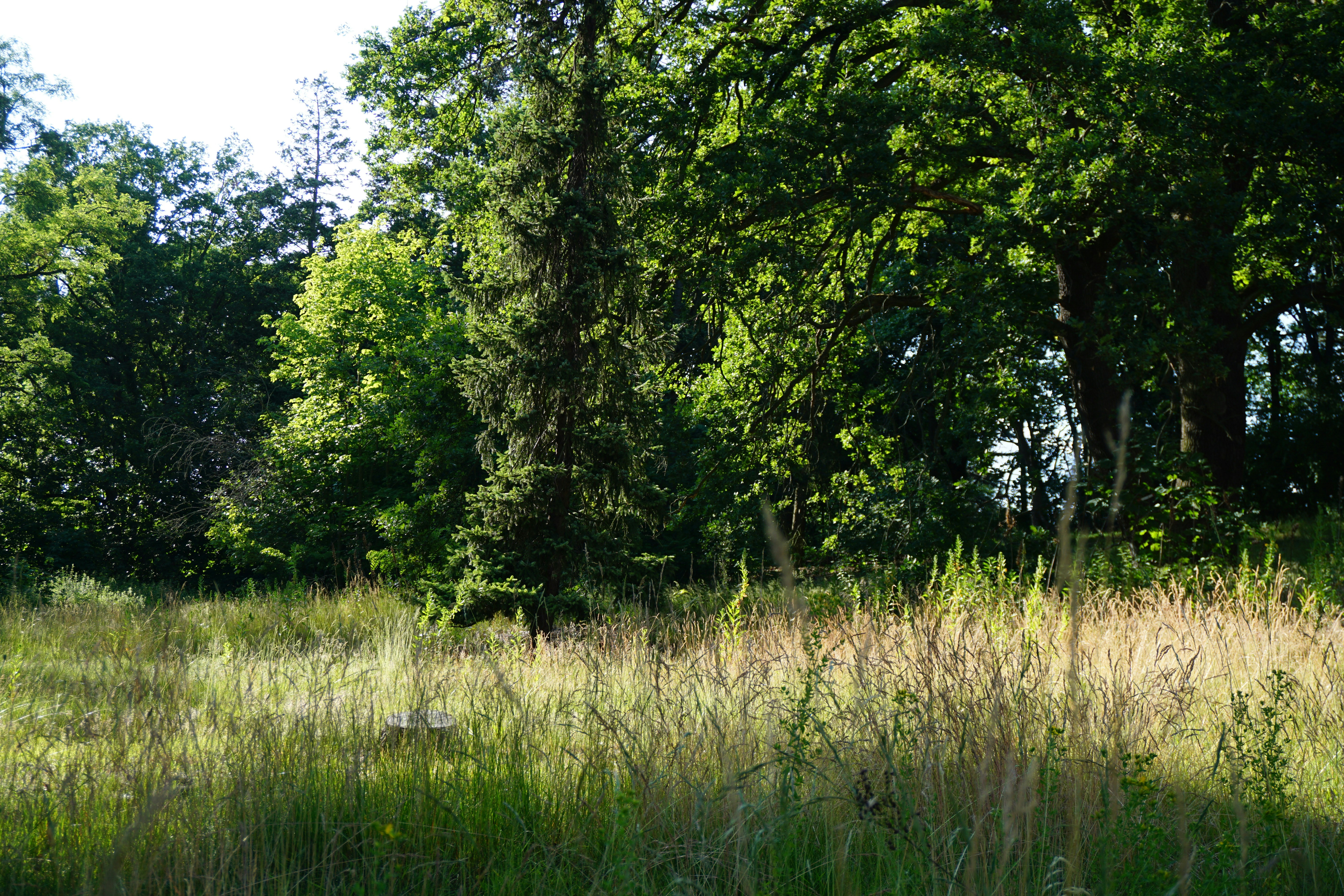 Image by Max Power via Unsplash