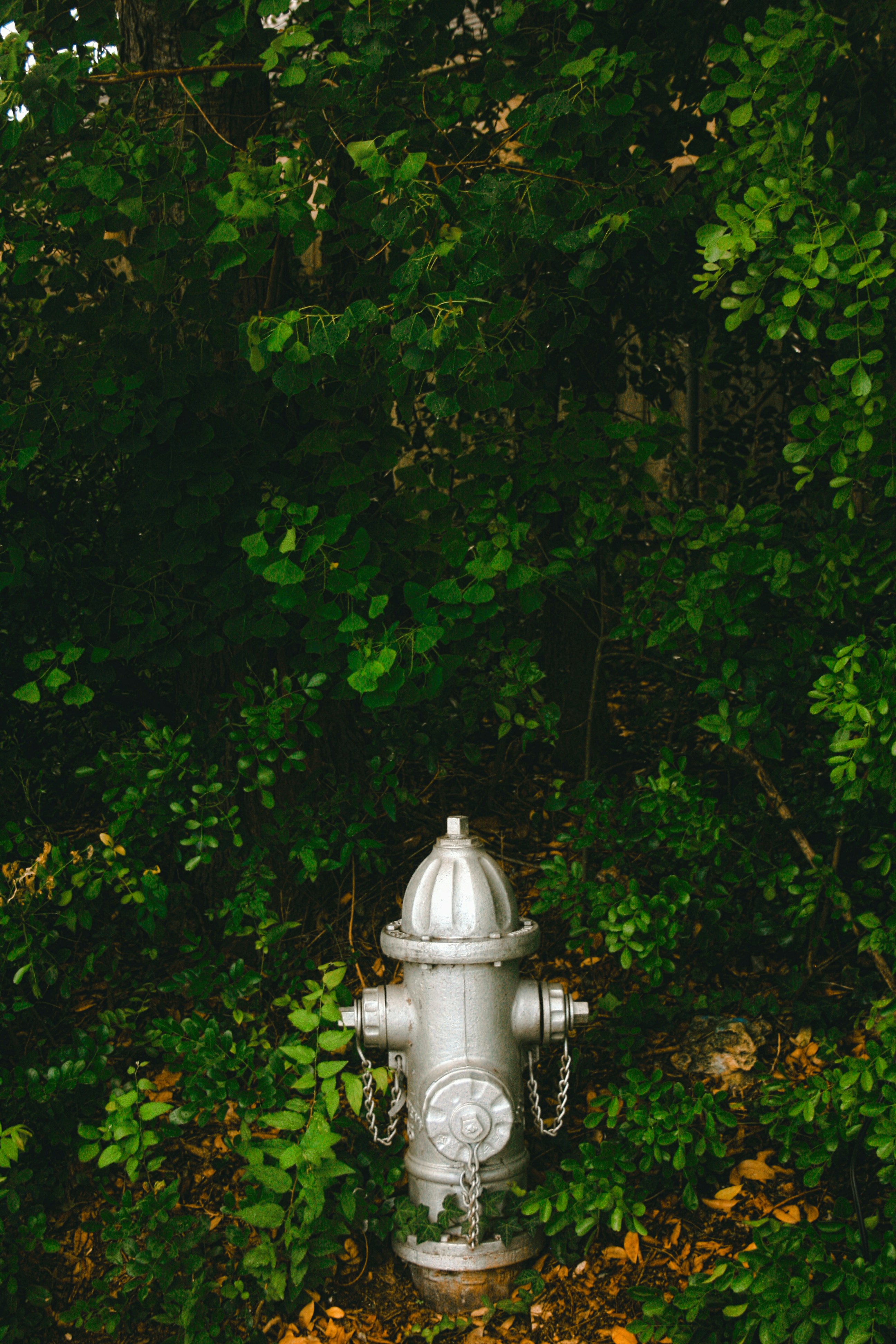 Photo by henrymossor_photography