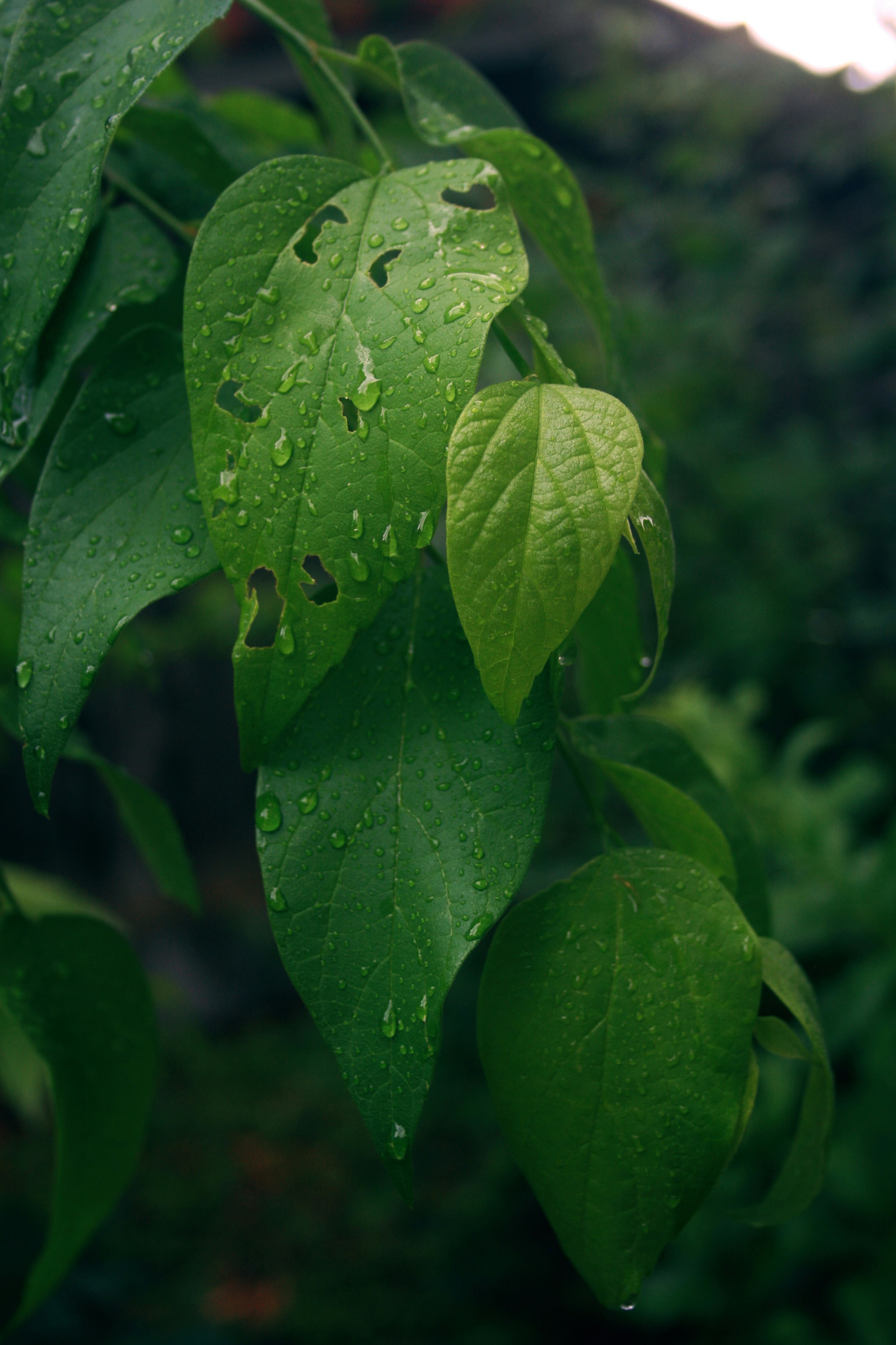 Photo by henrymossor_photography