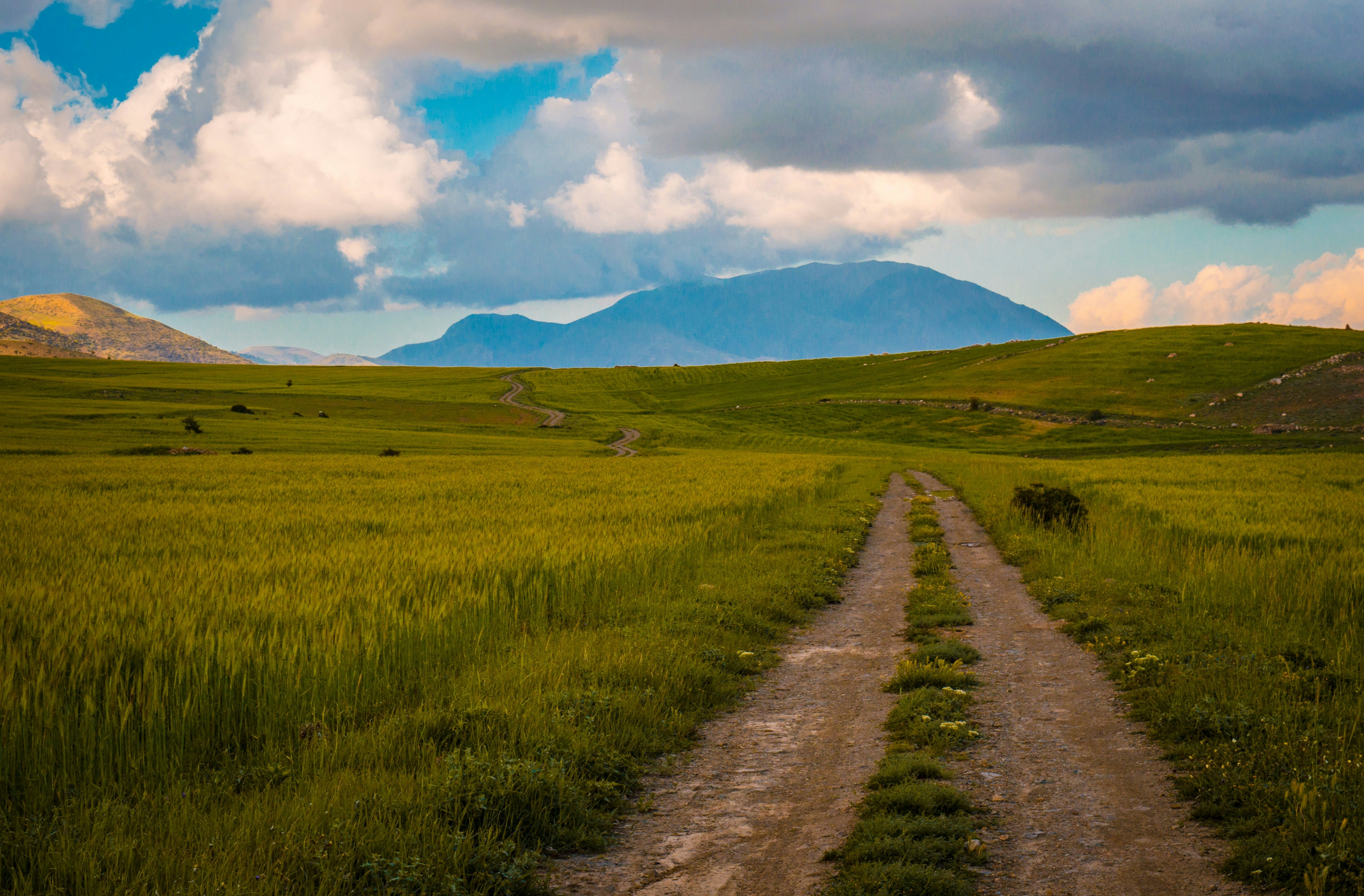 Photo by shayan_rostami