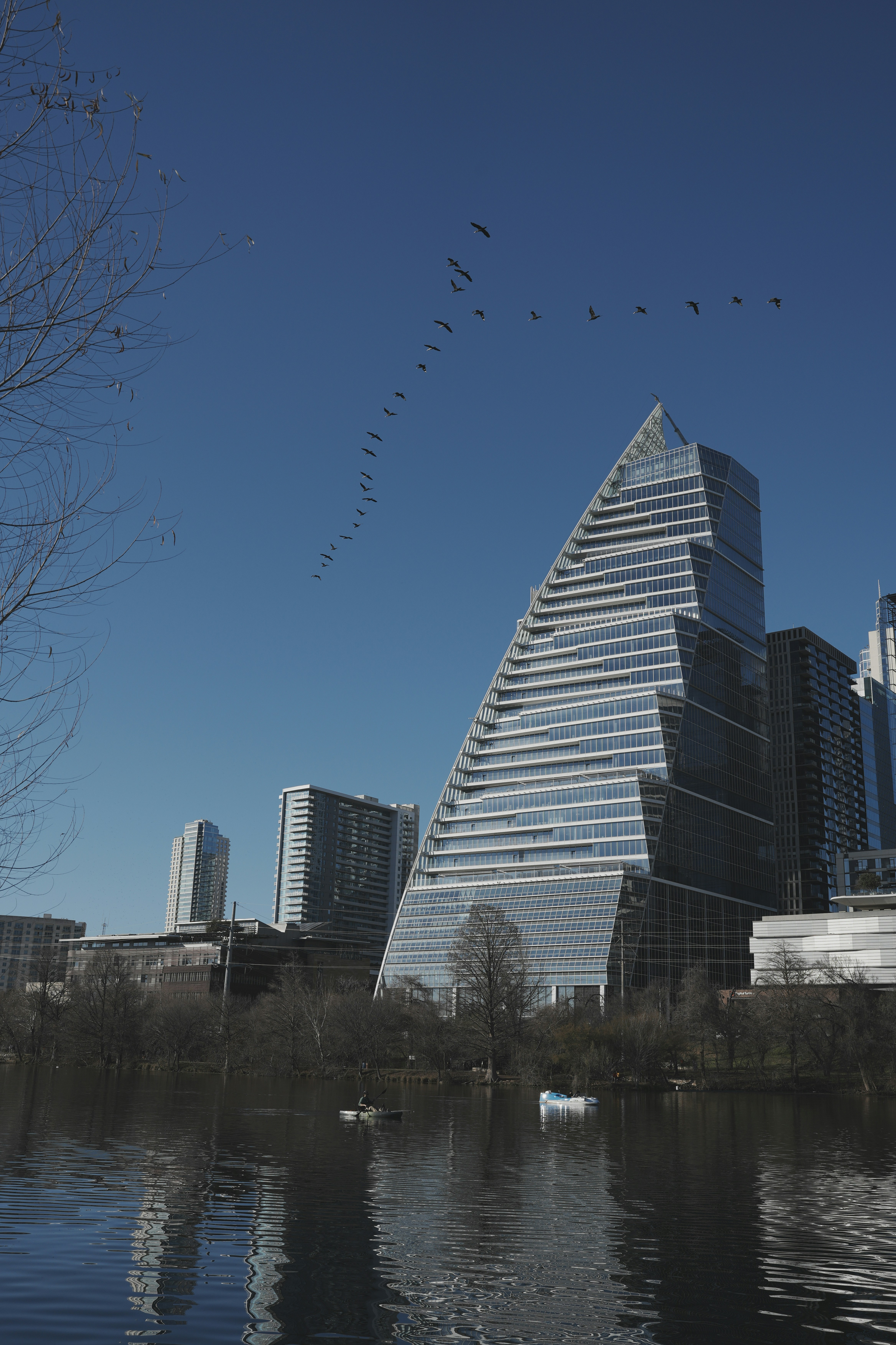 A modern skyscraper with birds above a lake