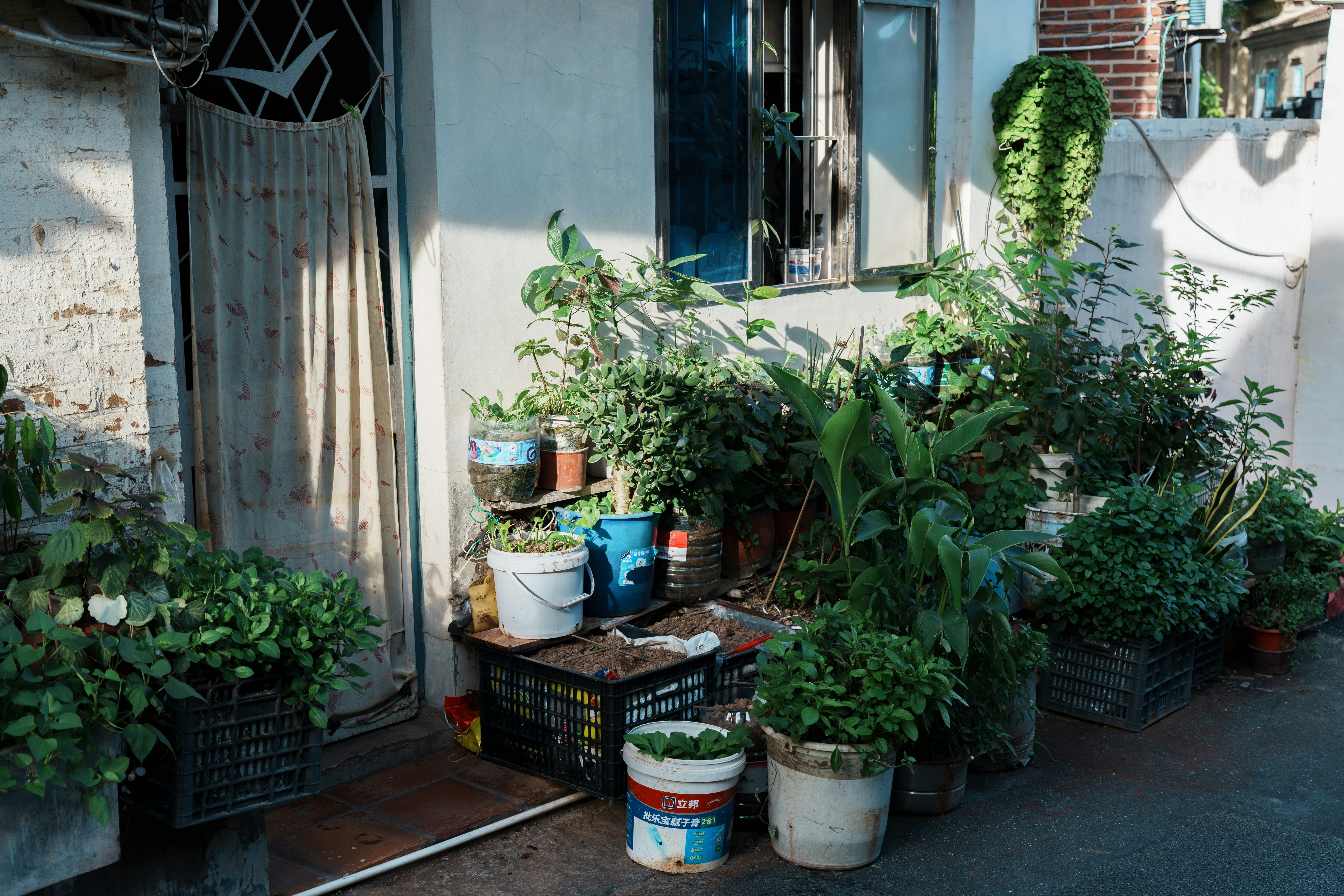 Photo by toxicsmoker