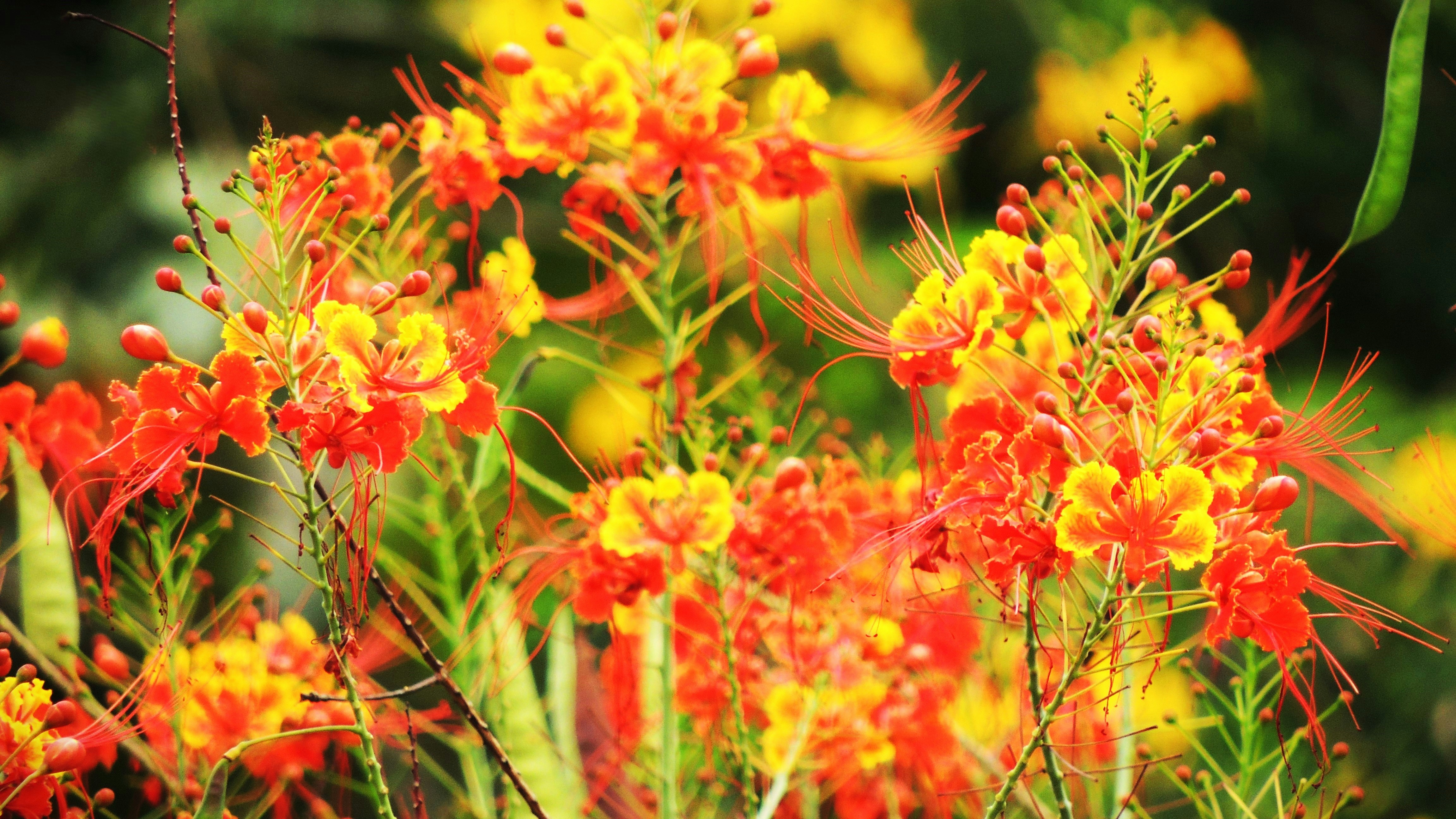 Photo by citywildlens