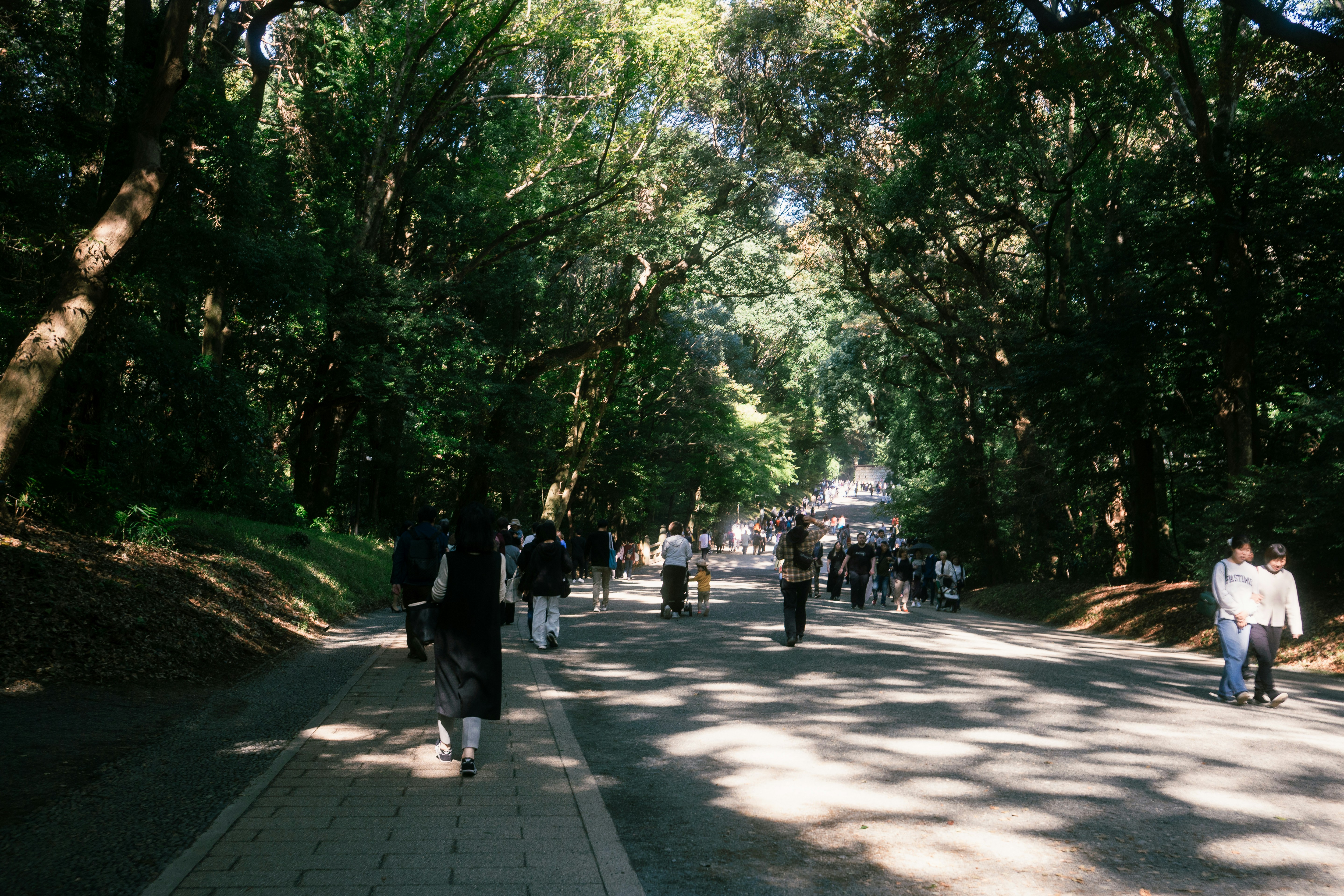 People stroll down a tree-lined path on a sunny day.