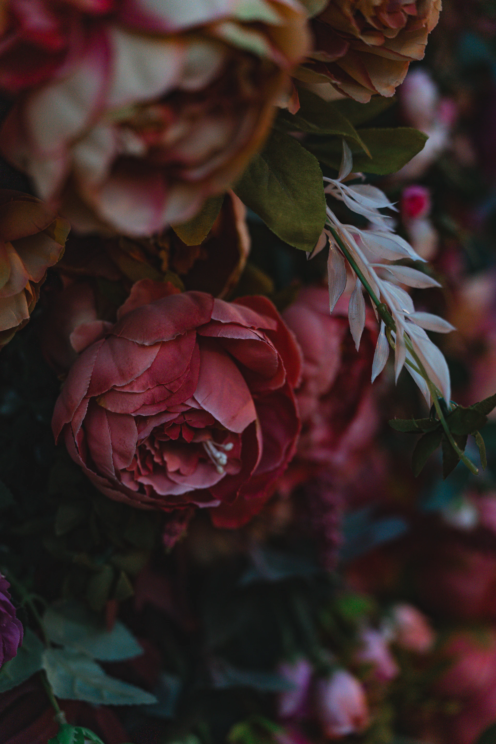 Beautiful and vibrant flowers in shades of pink.