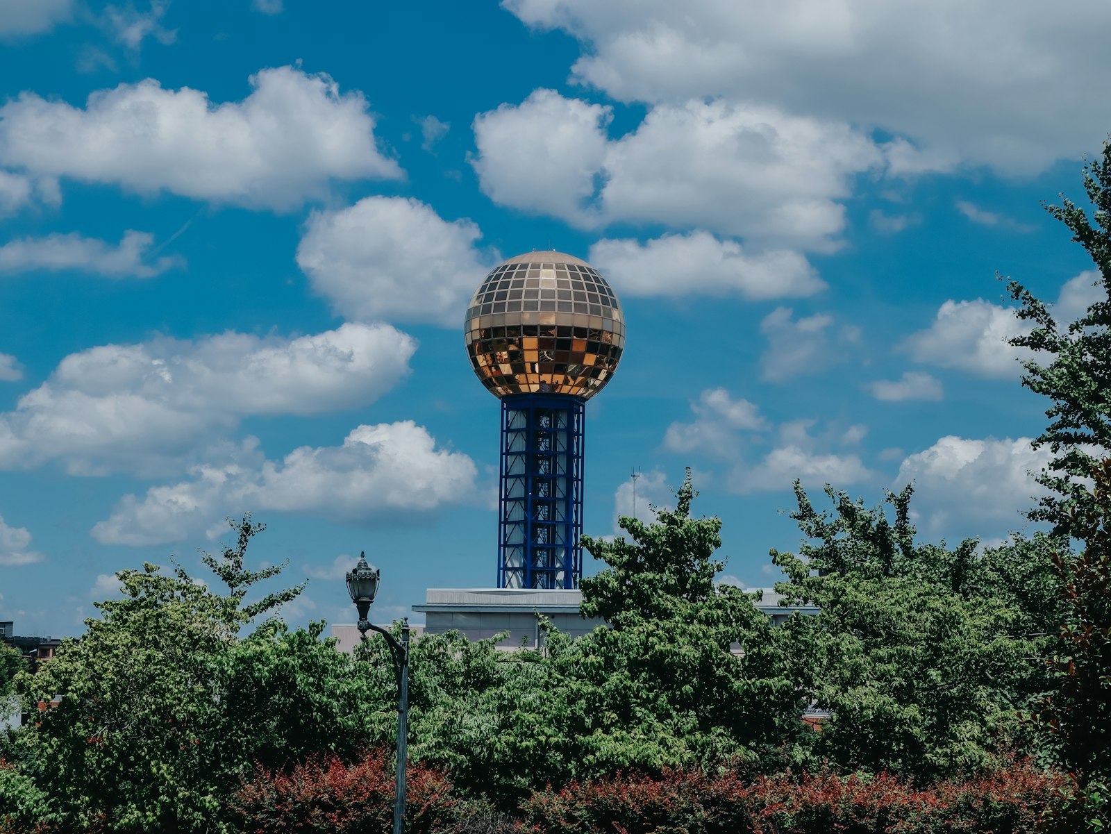 Photo by Elijah Crouch on Unsplash