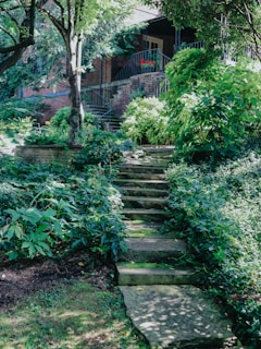 Stone steps lead up to a house surrounded by greenery.