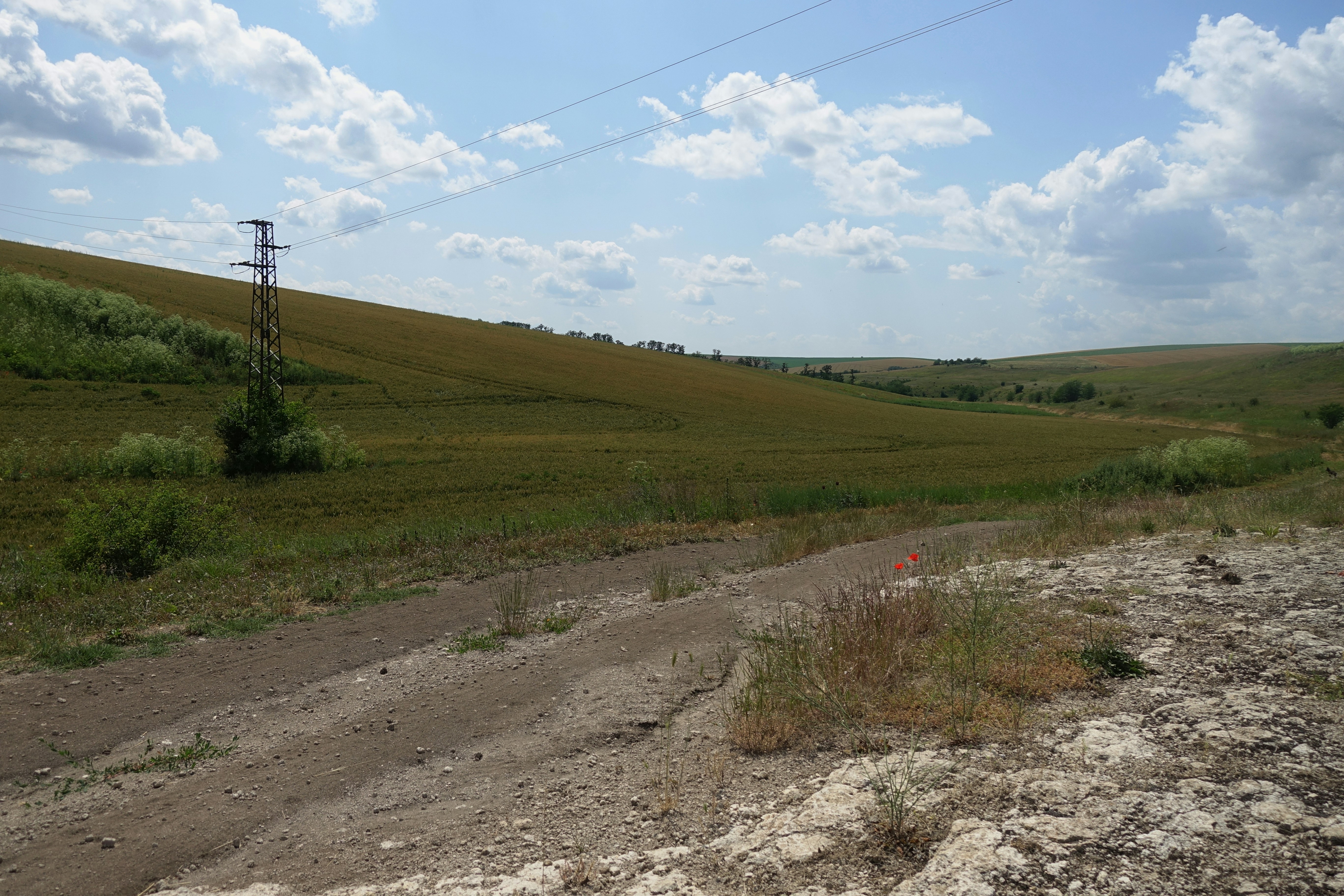 A rural landscape with a dirt road under a bright sky.
