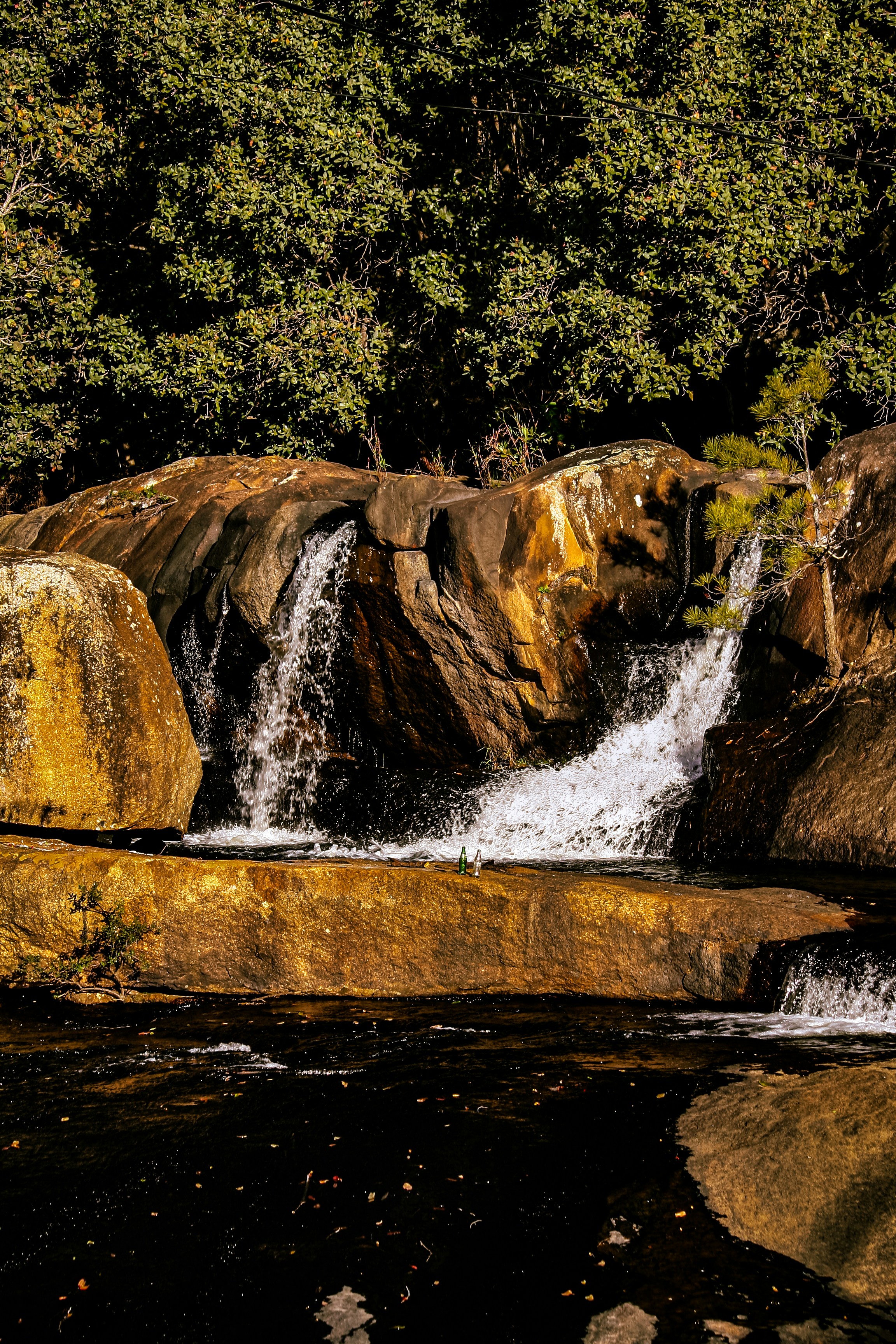 Photo by proudlyswazi_free