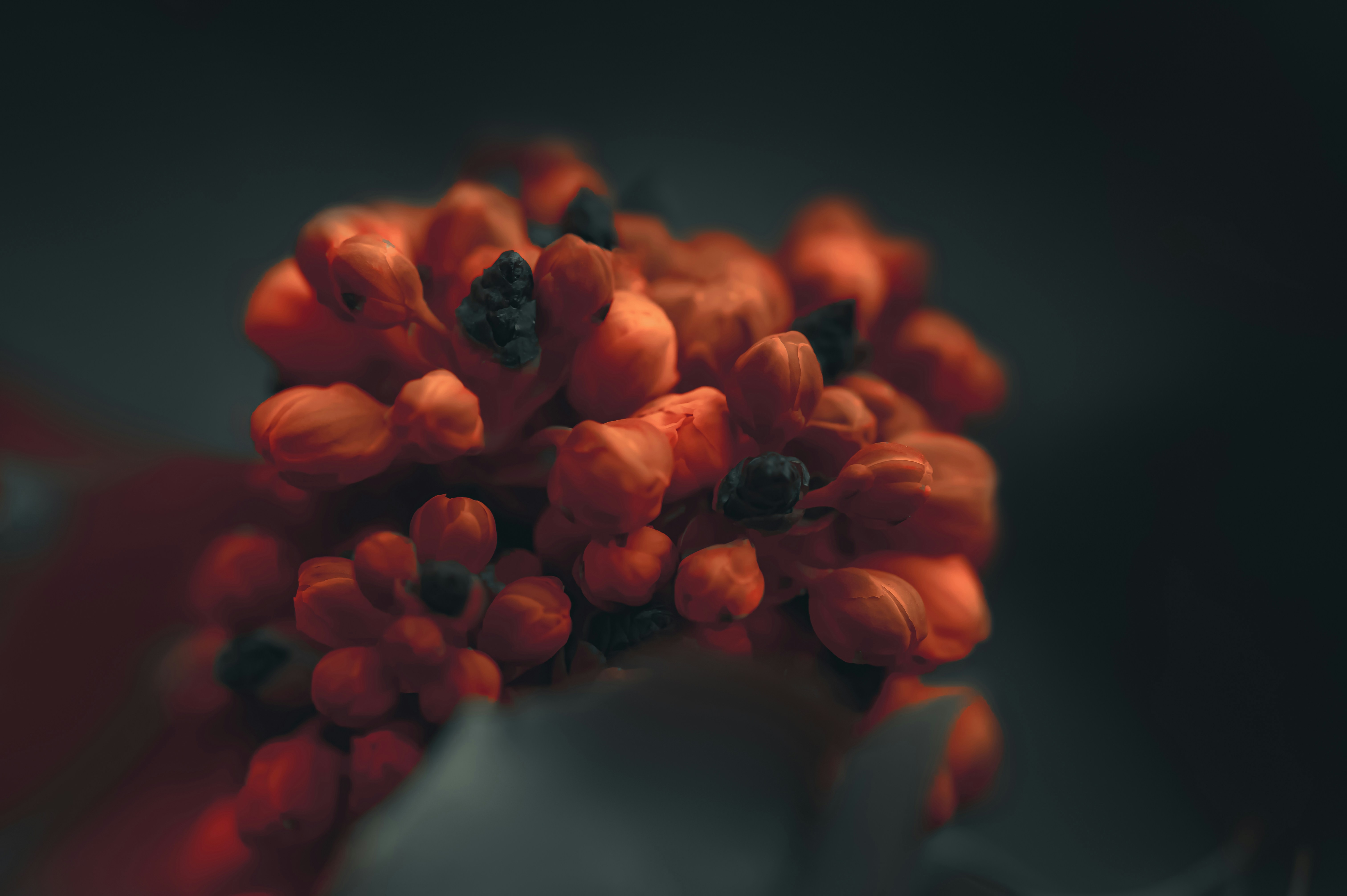 Photo by volodymyr_leush