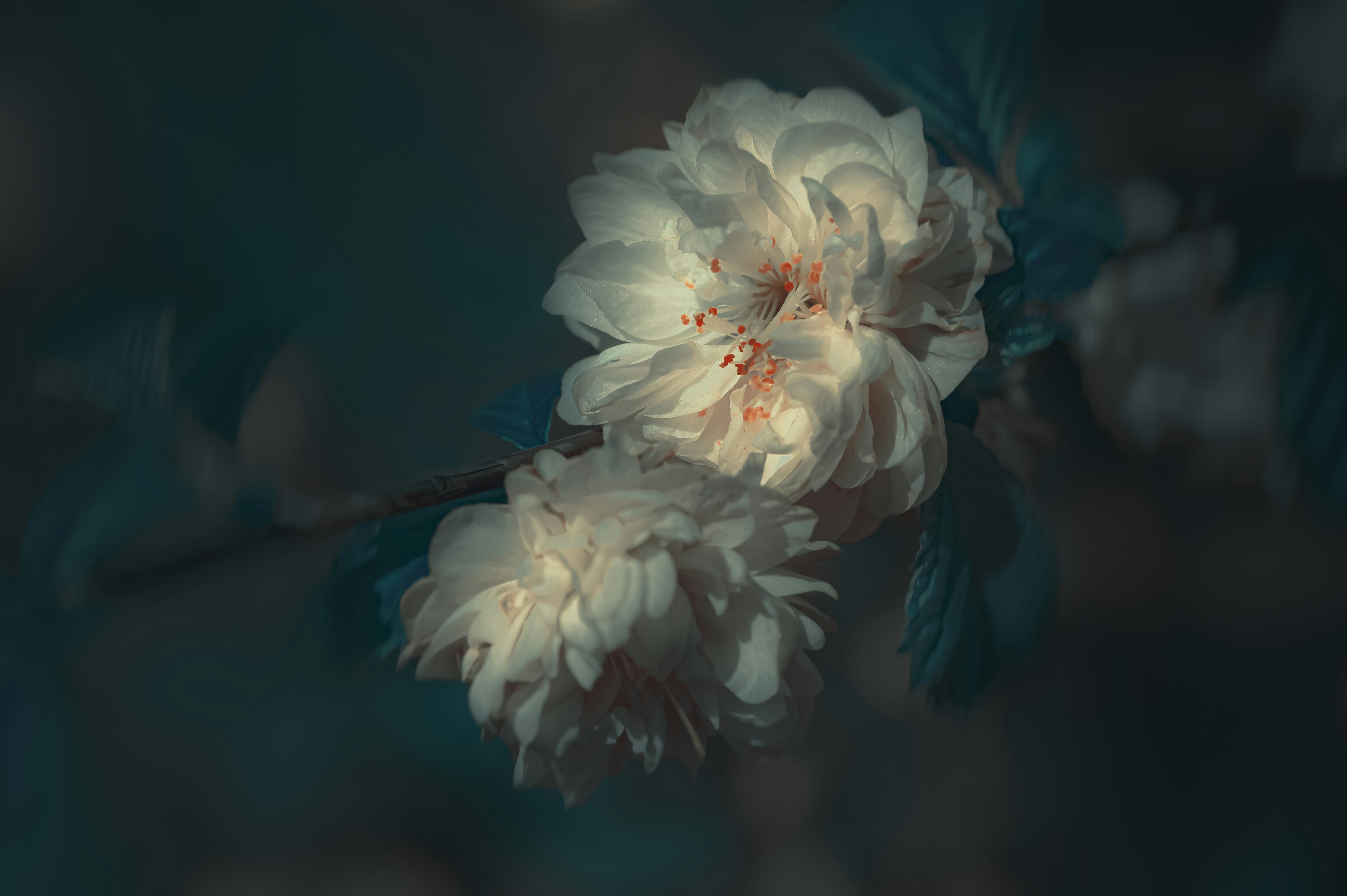 soft light background, wallpaper, Sakit di Bawah Payudara Sebelah Kanan: Penyebab & Solusi 4