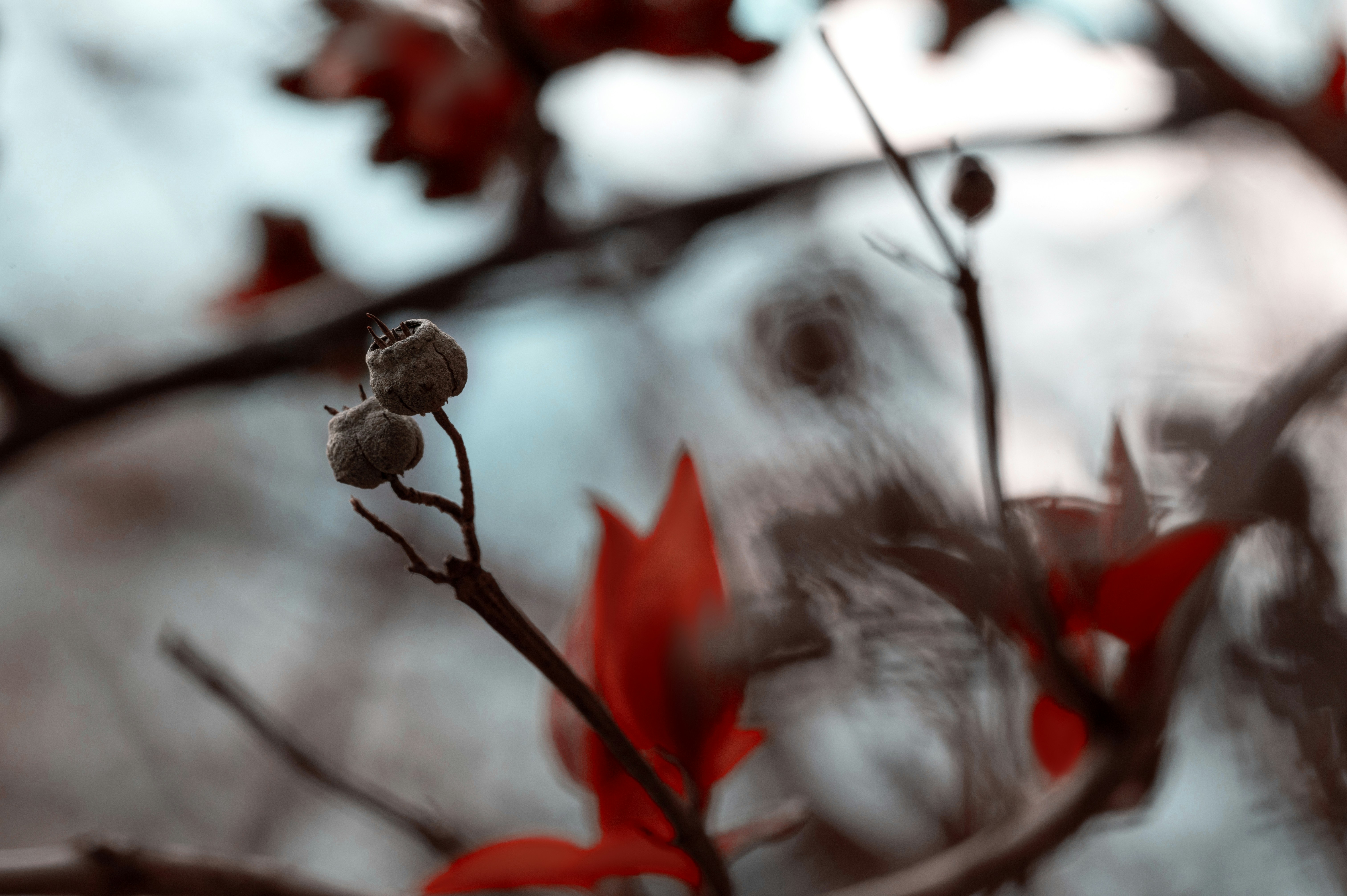 Photo by volodymyr_leush