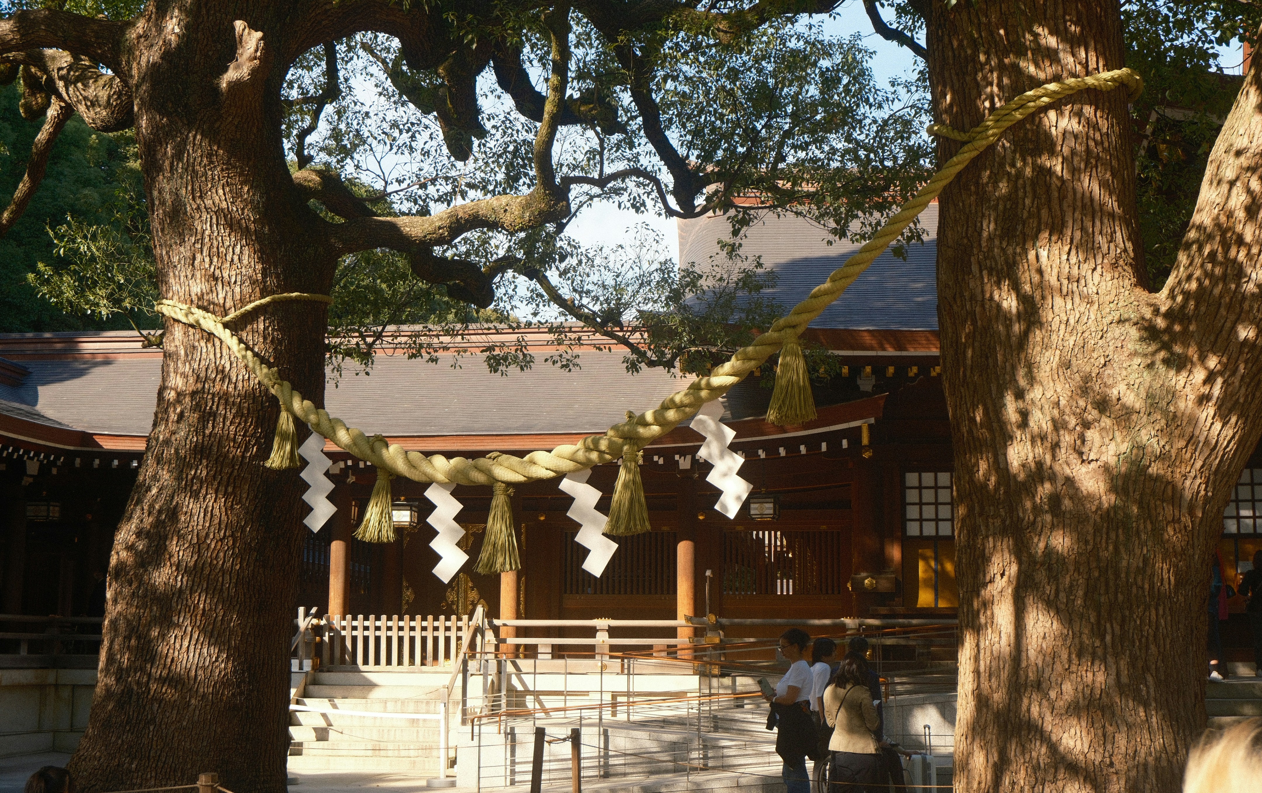 Photo by airuphotograph