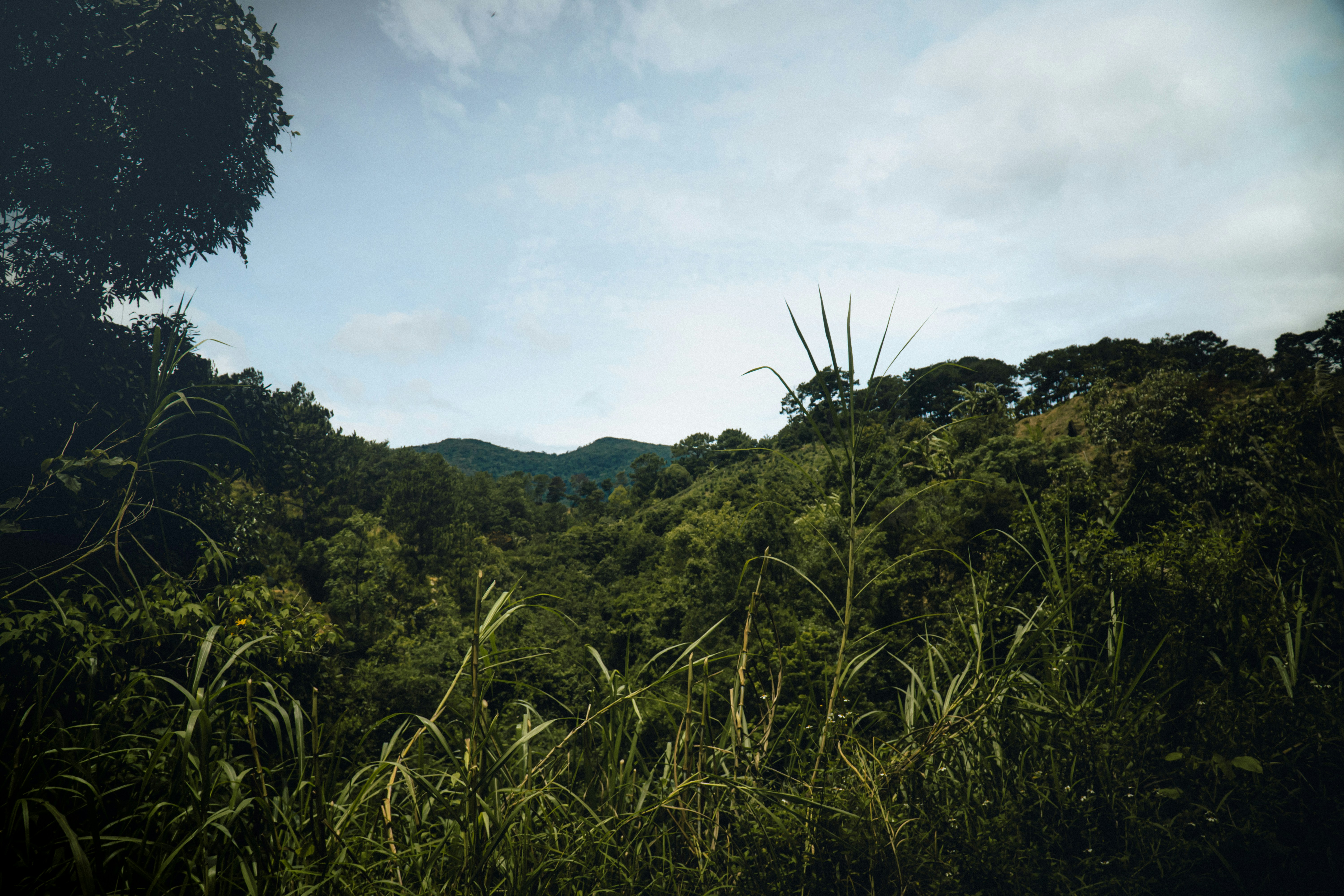 gray computer monitor