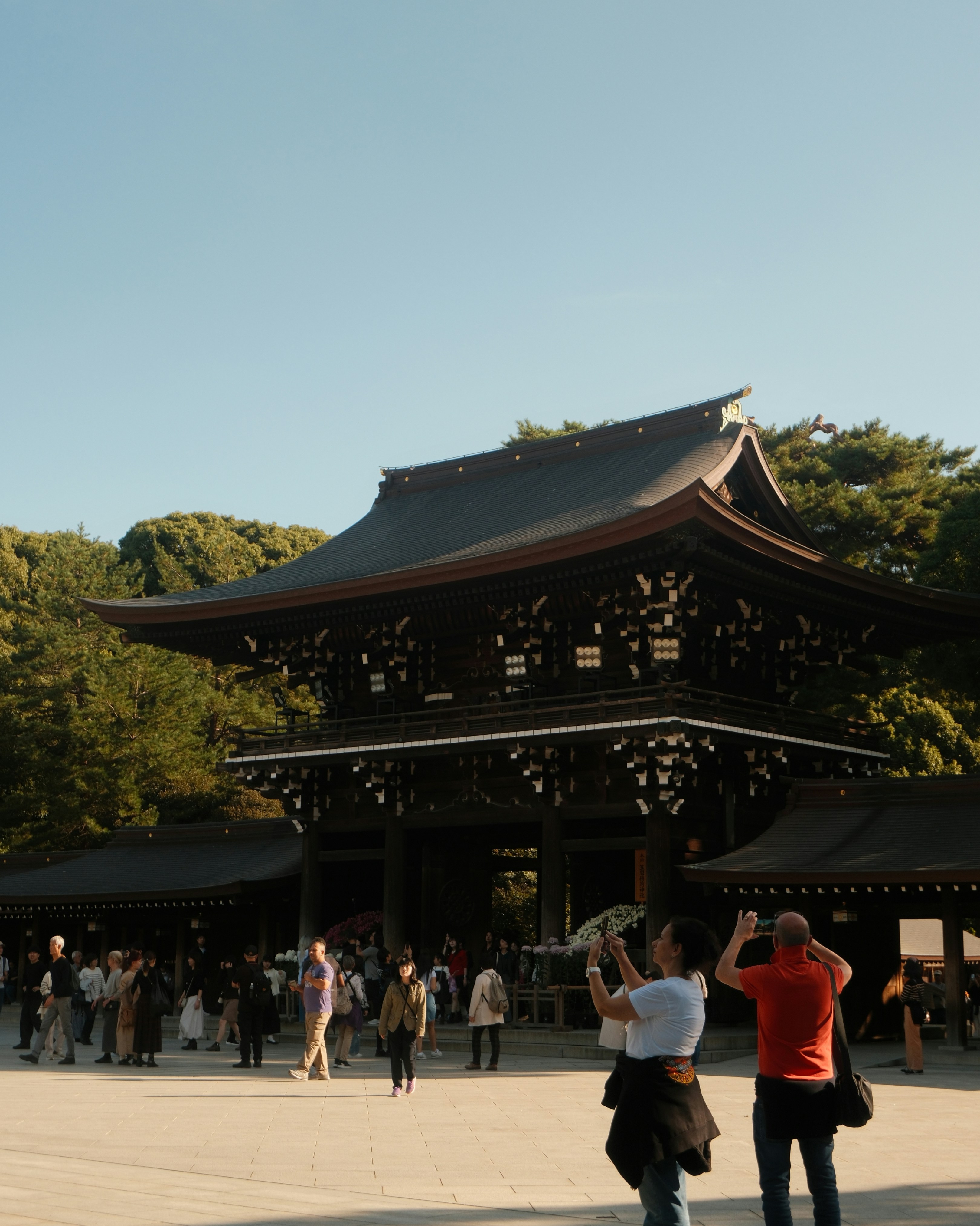 Photo by airuphotograph