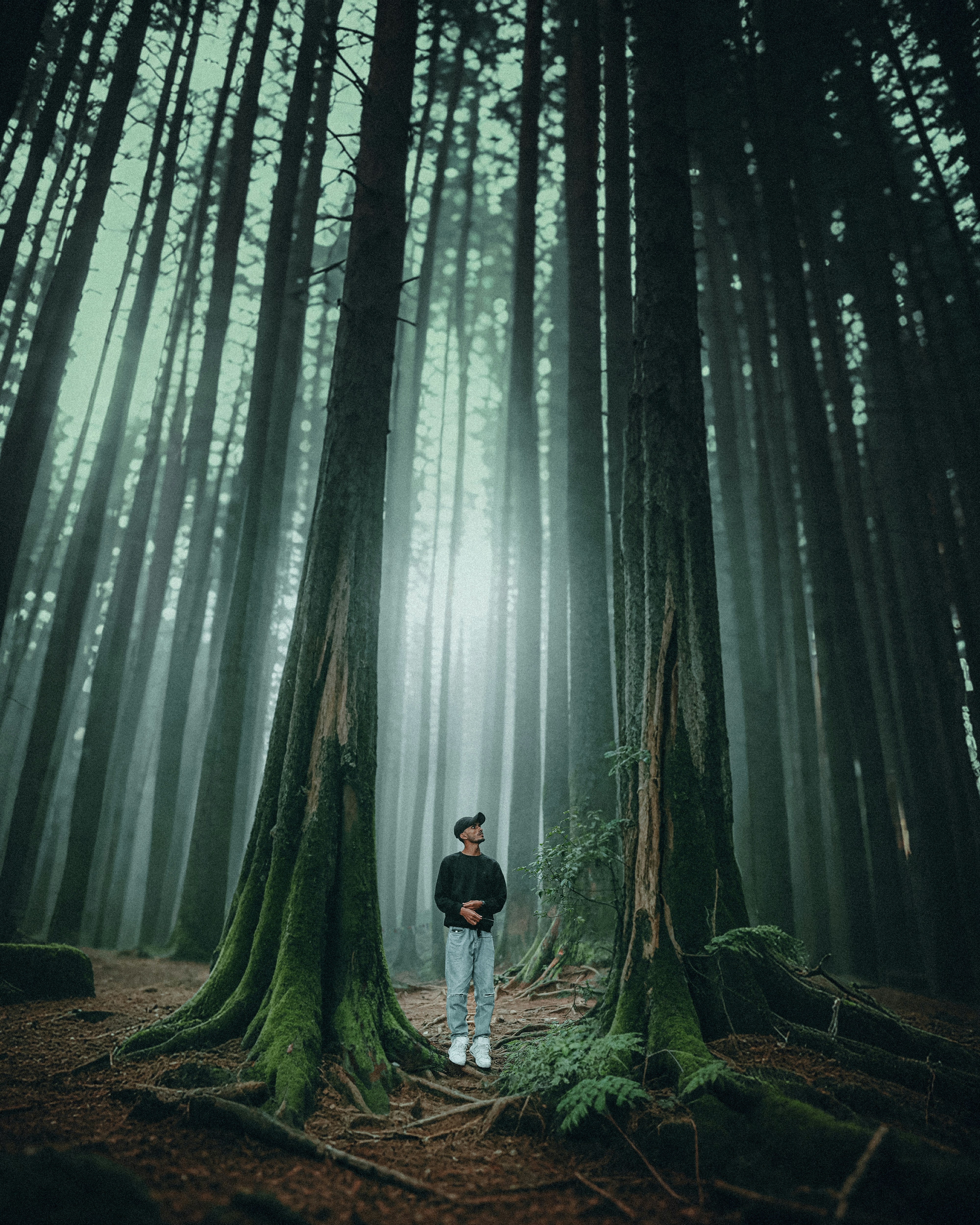 Photo by aryaneditz1