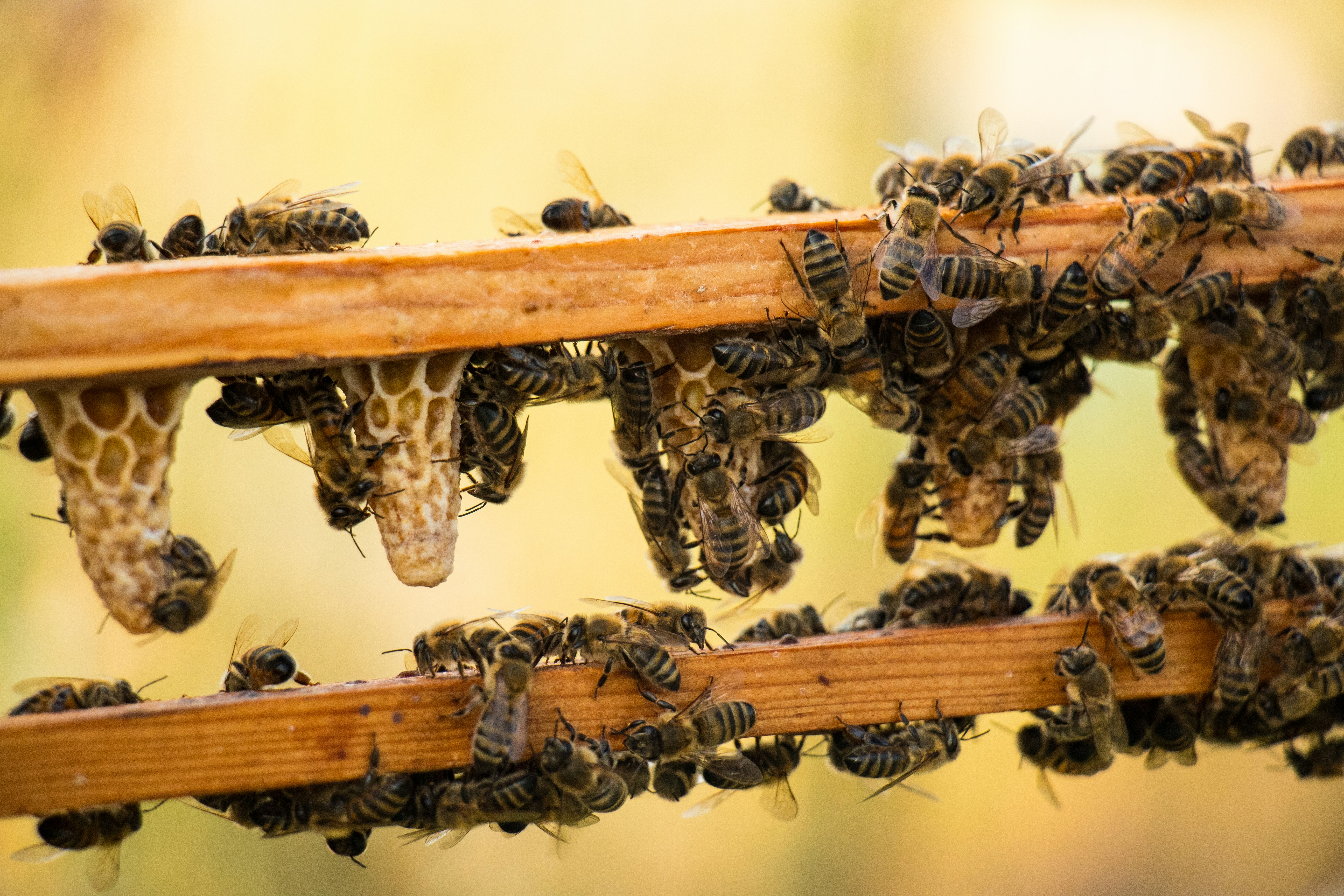 Photo by spyros_skareas