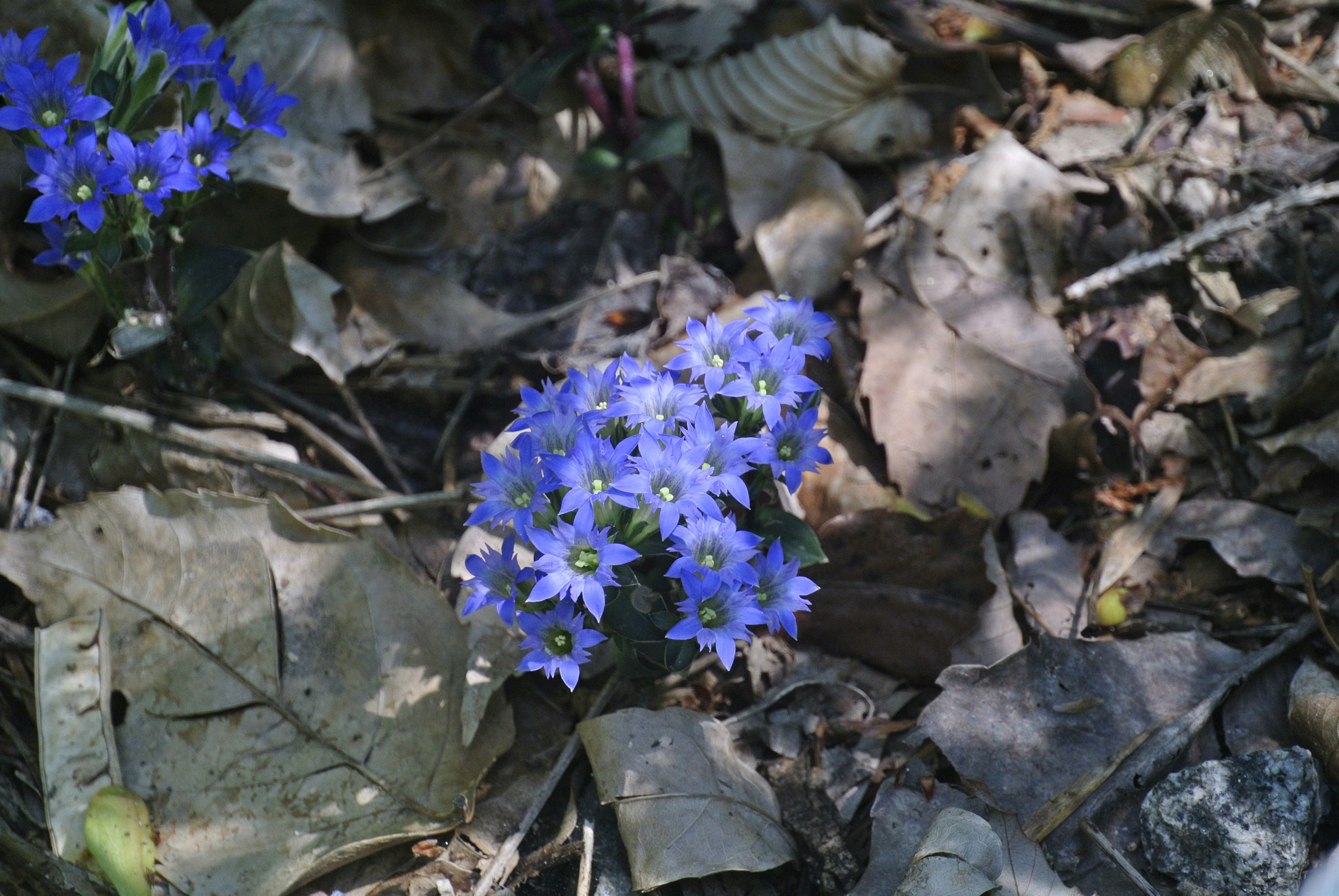 Photo by dameekim