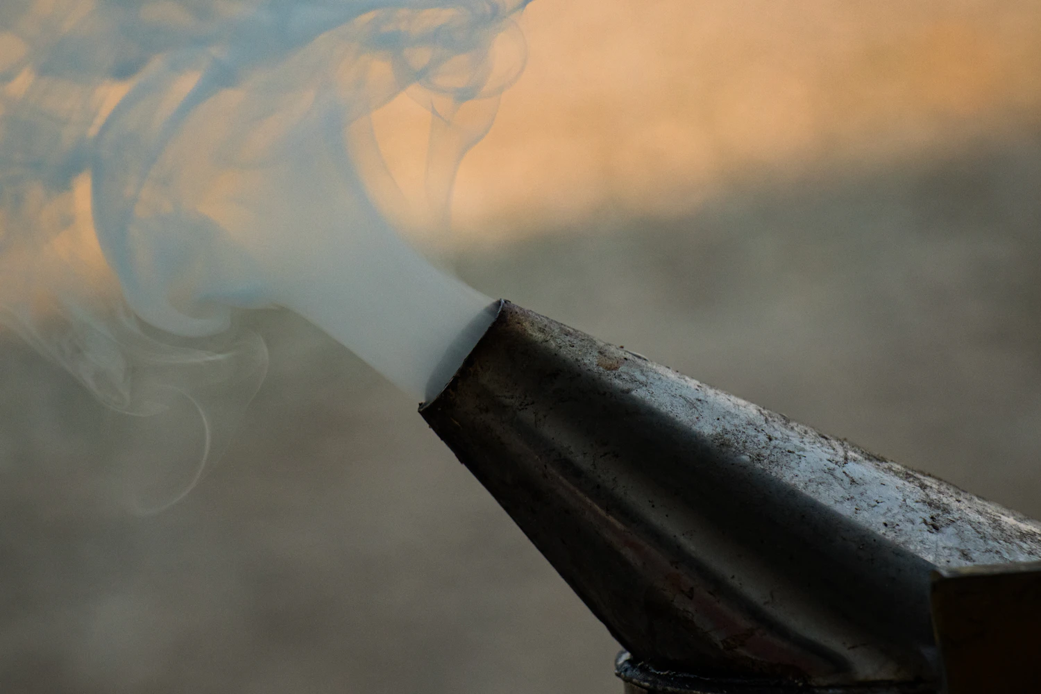 Smoke curling from a beekeeper’s smoker in warm evening light